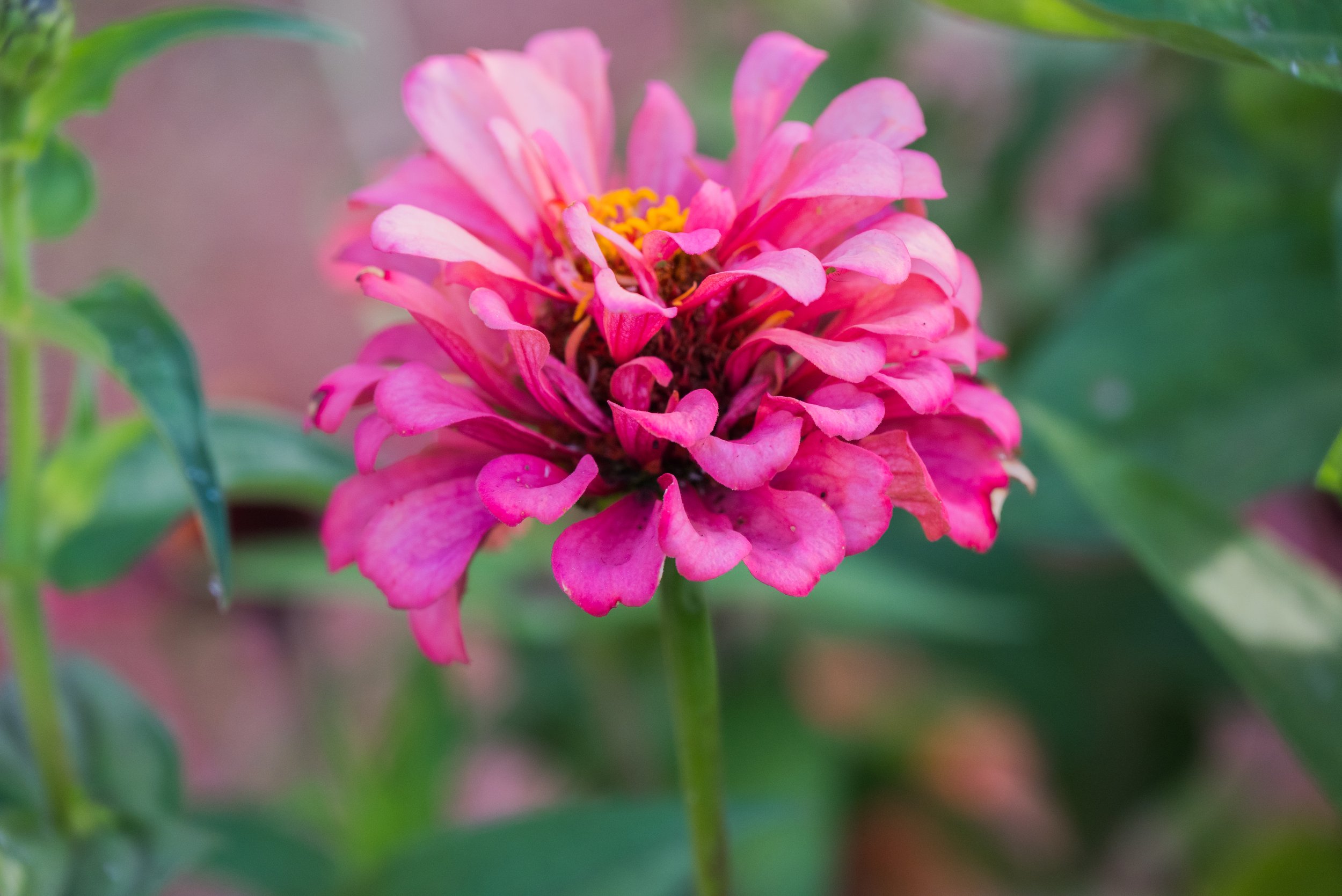8_DSC_0368.jpg