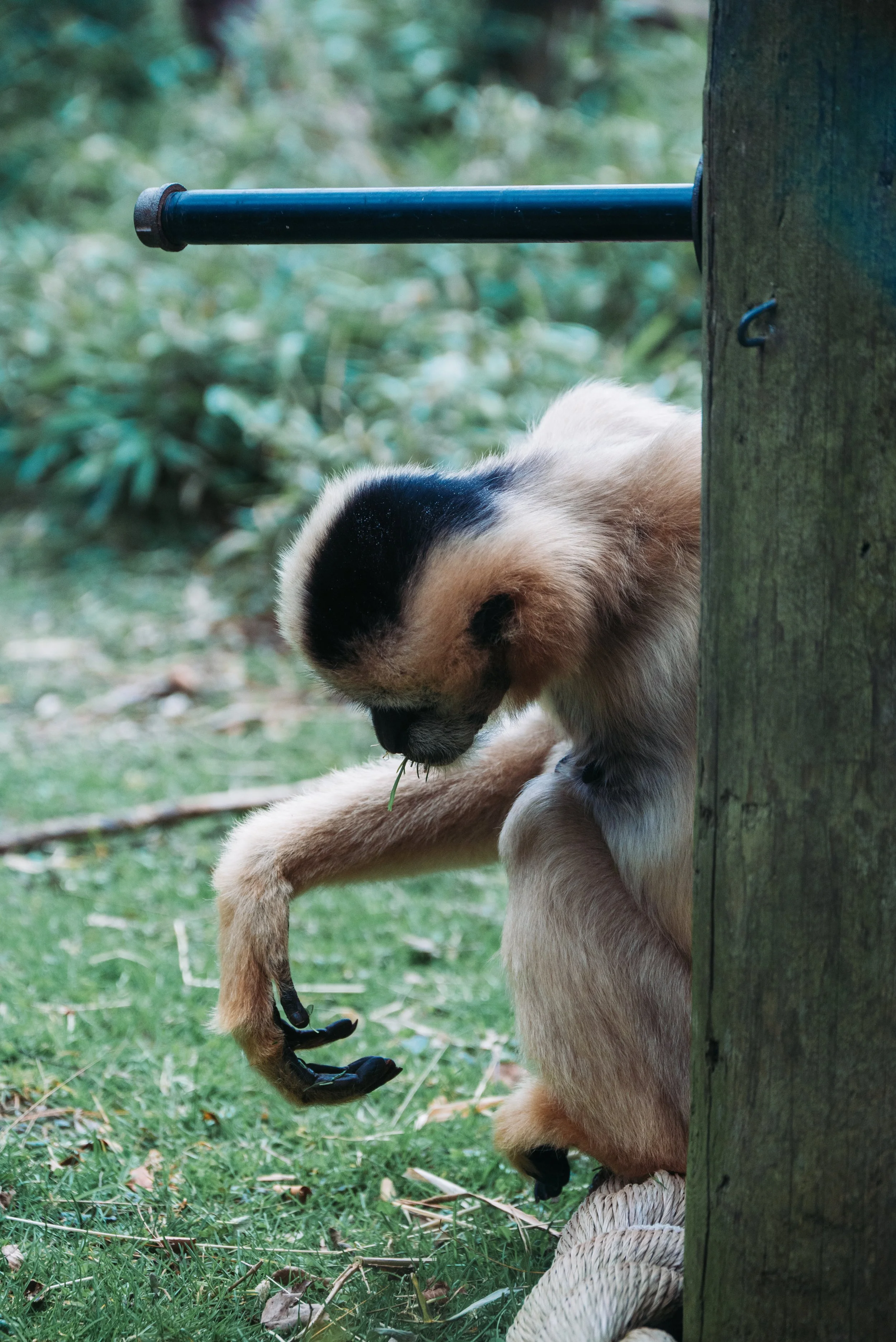 DSC_0965.jpg