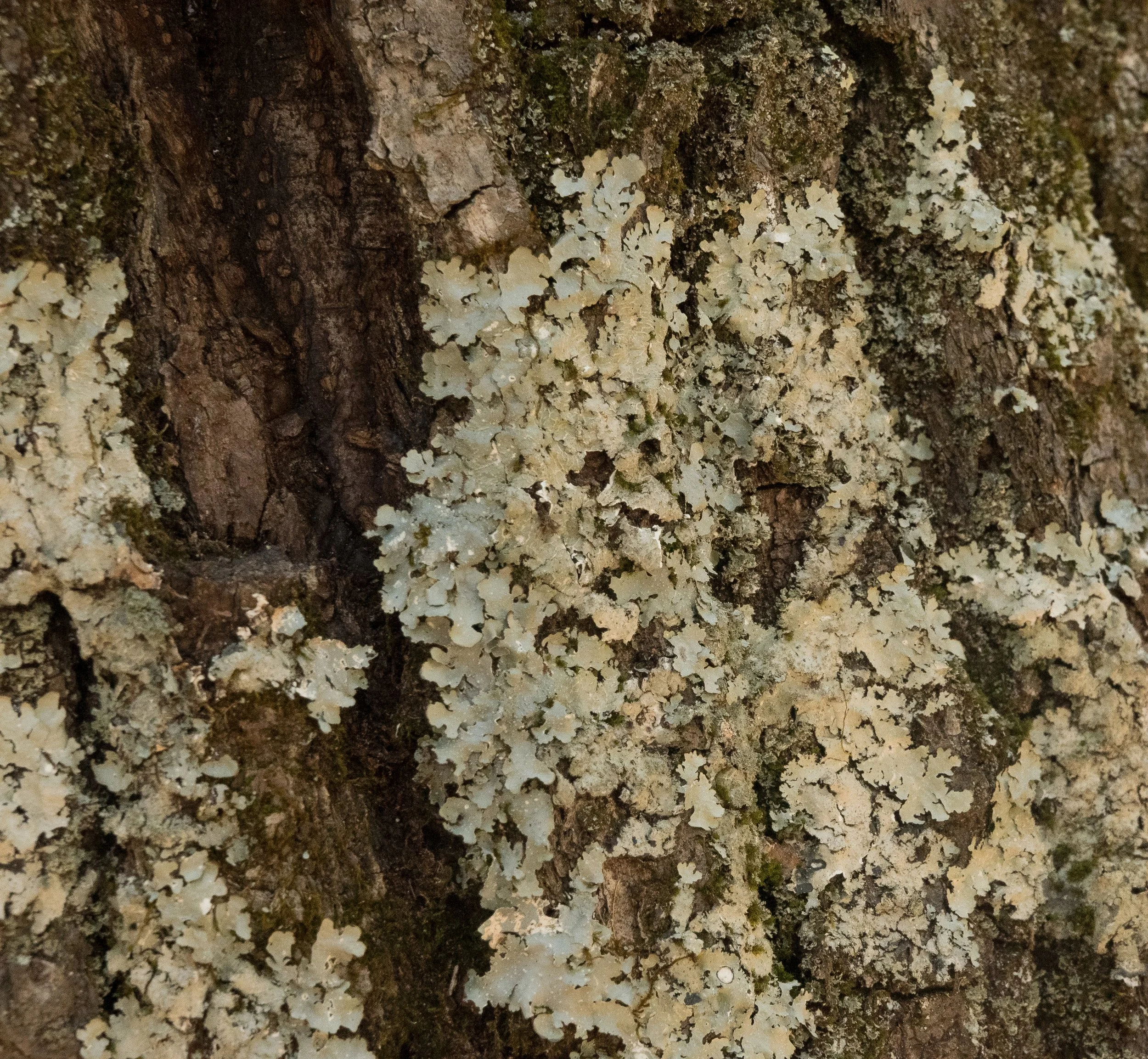DSC_8467.jpg