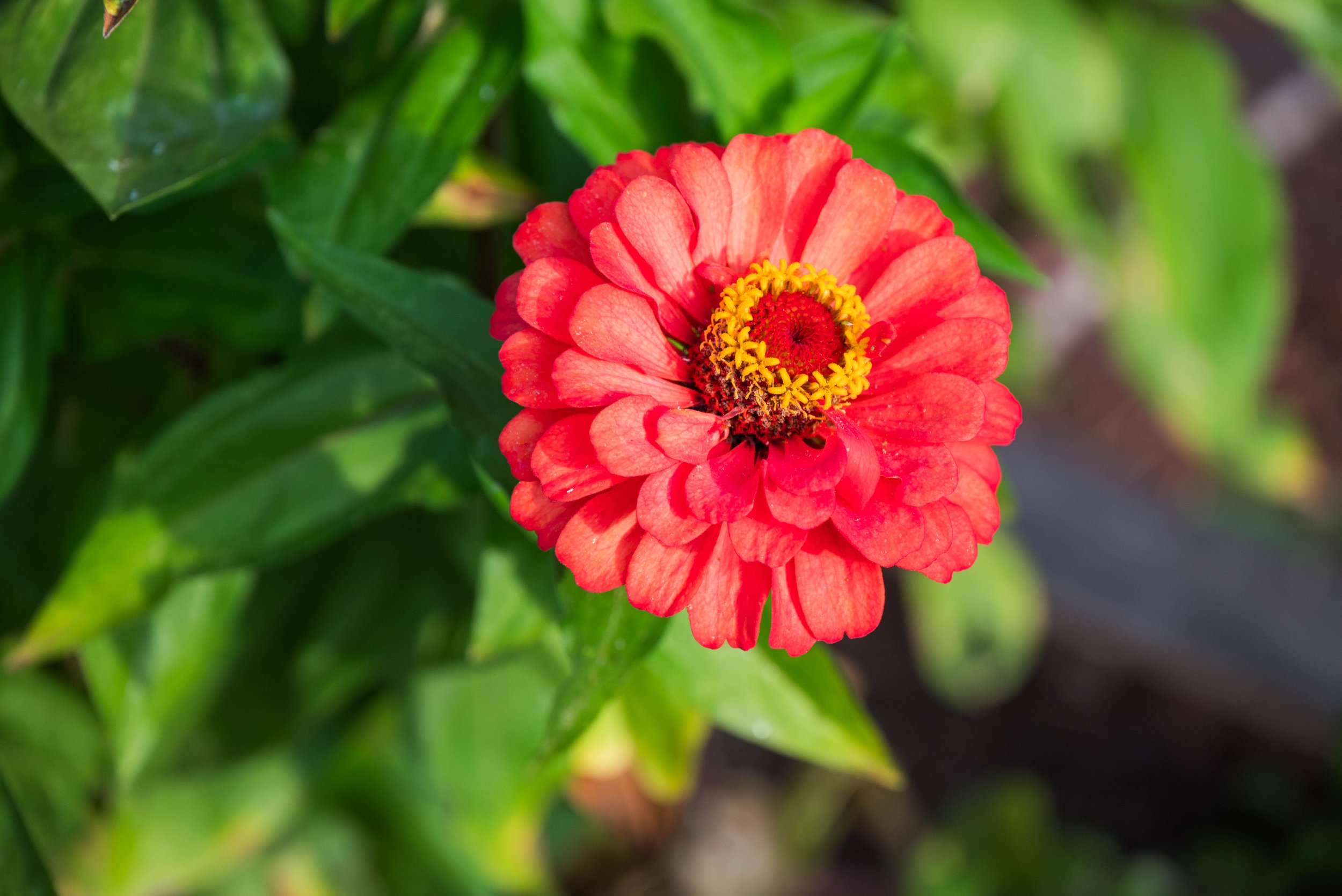 6.5 DSC_0248.jpg