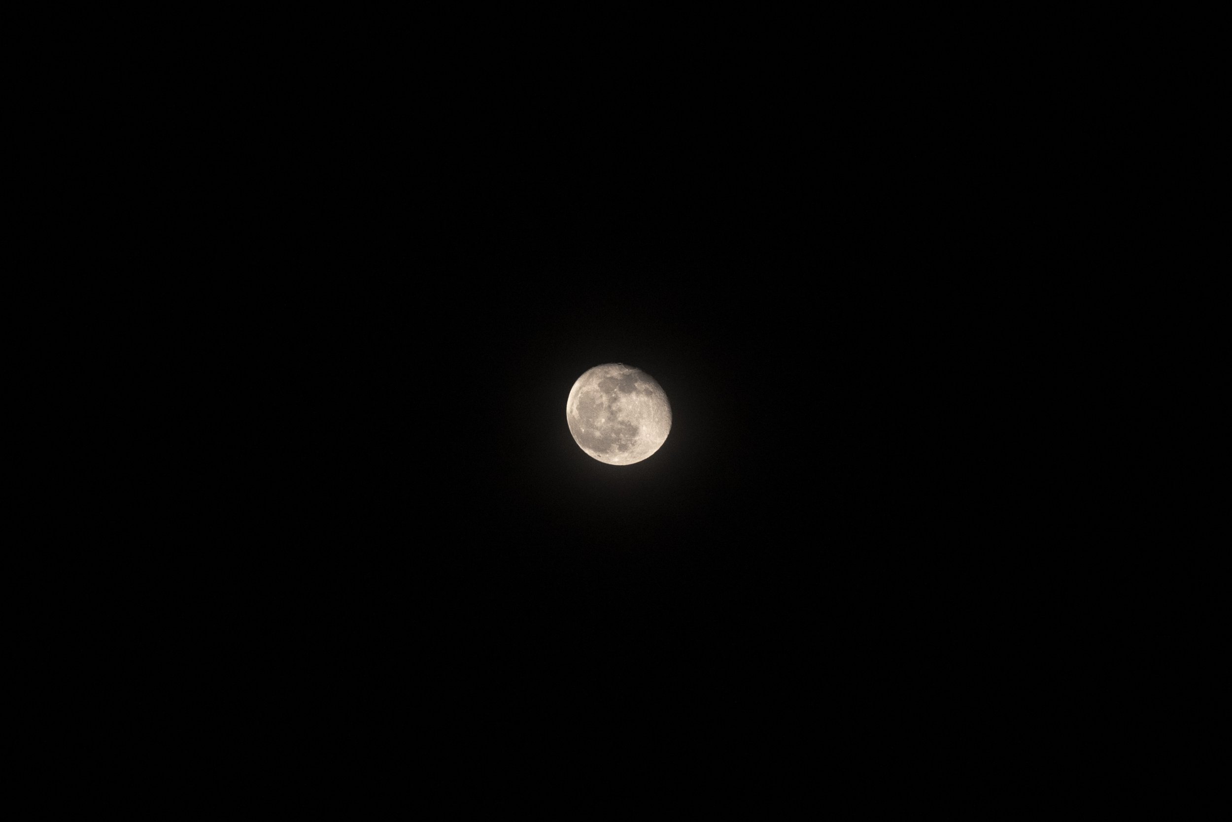 14_DSC_3324.jpg