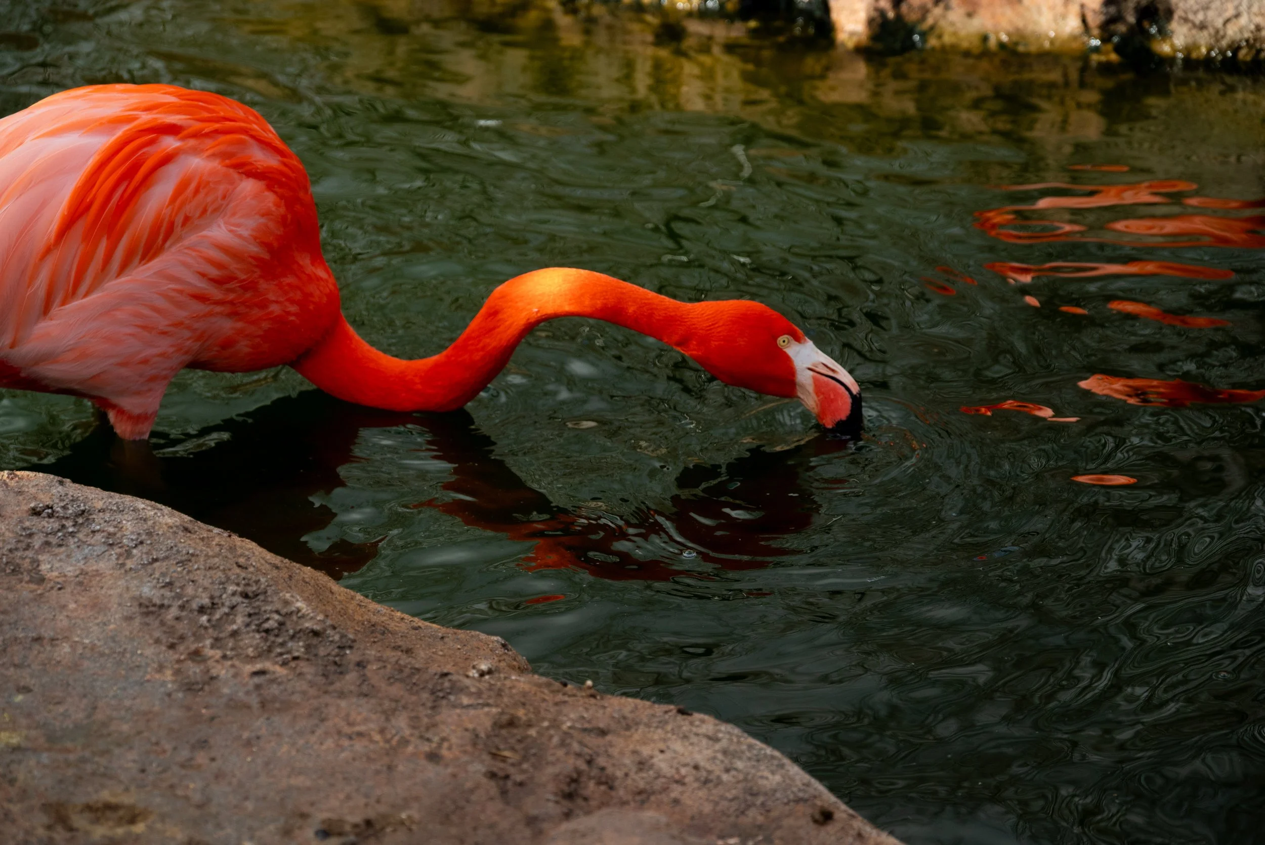 DSC_0533-3.jpg