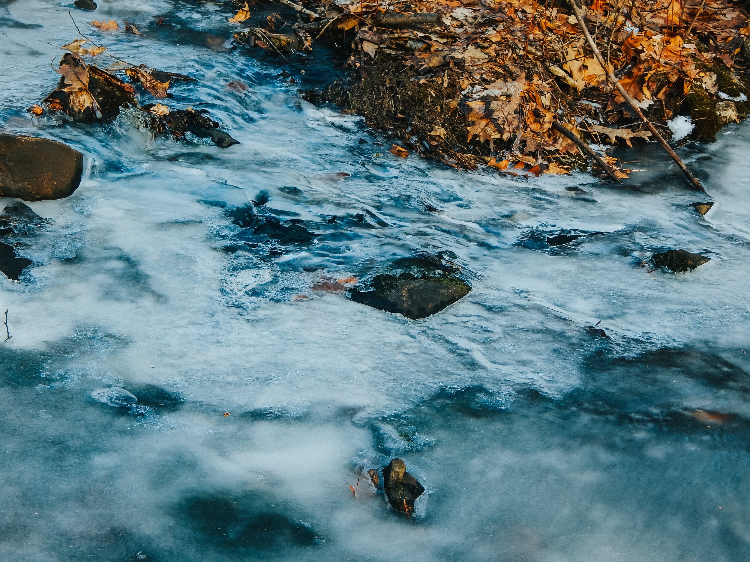 8-DSCN9281.jpg