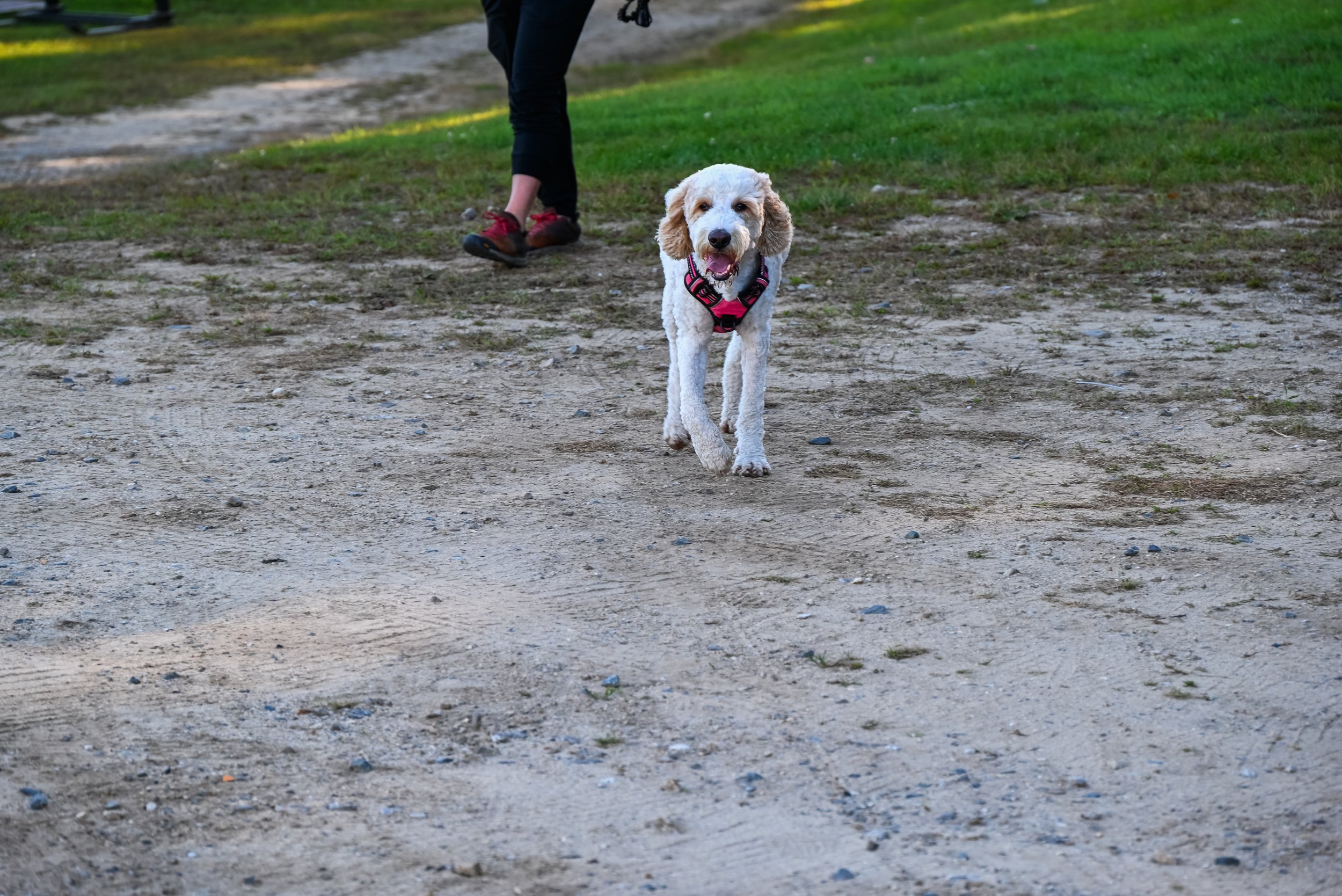 6_DSC_0082.jpg