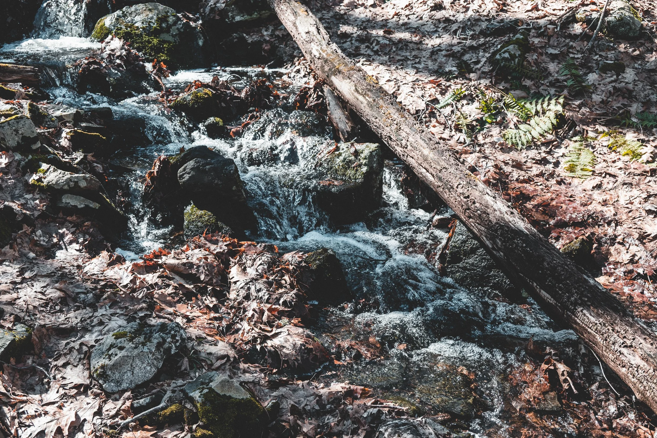 DSC_0177-3.jpg