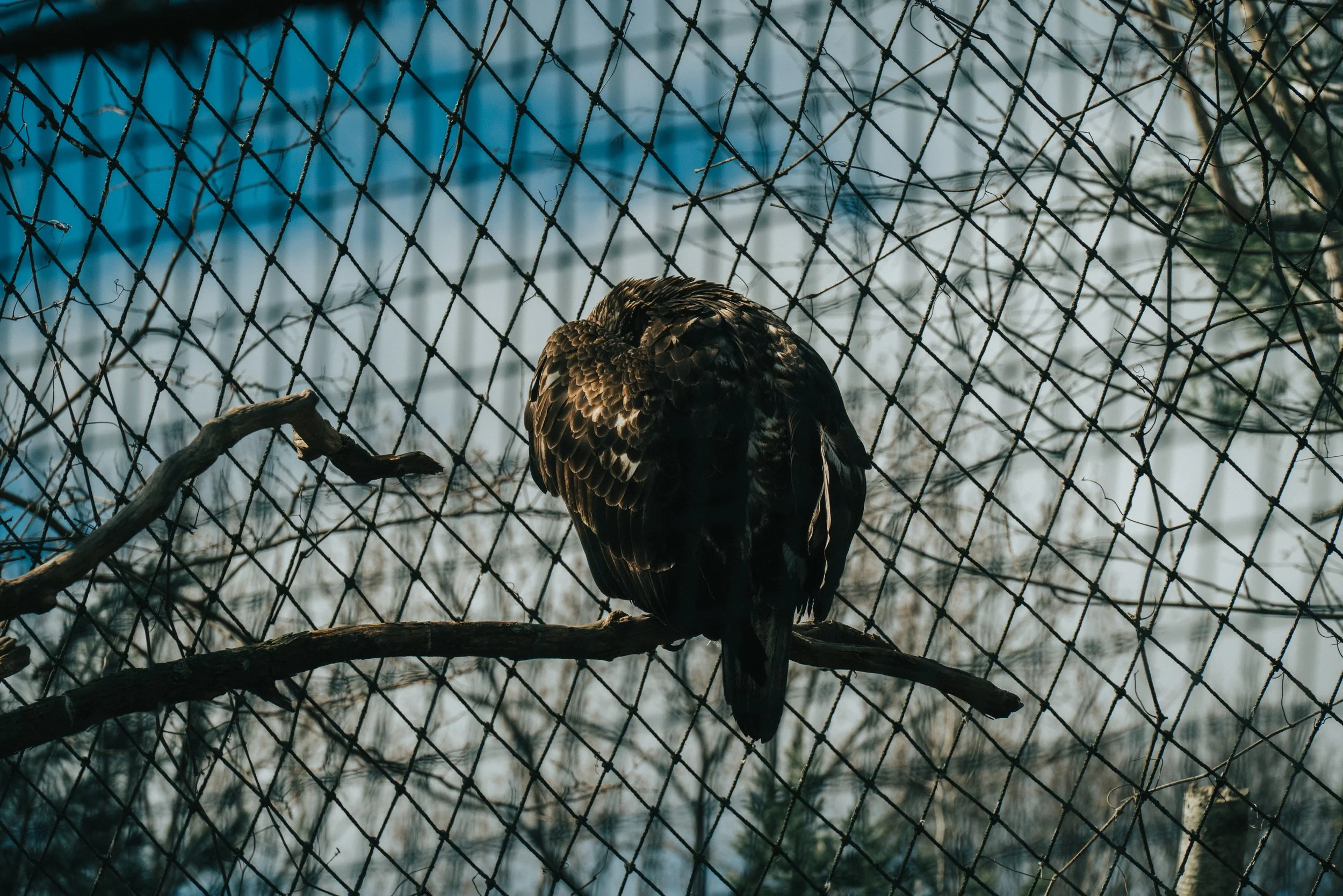 DSC_3786.jpg