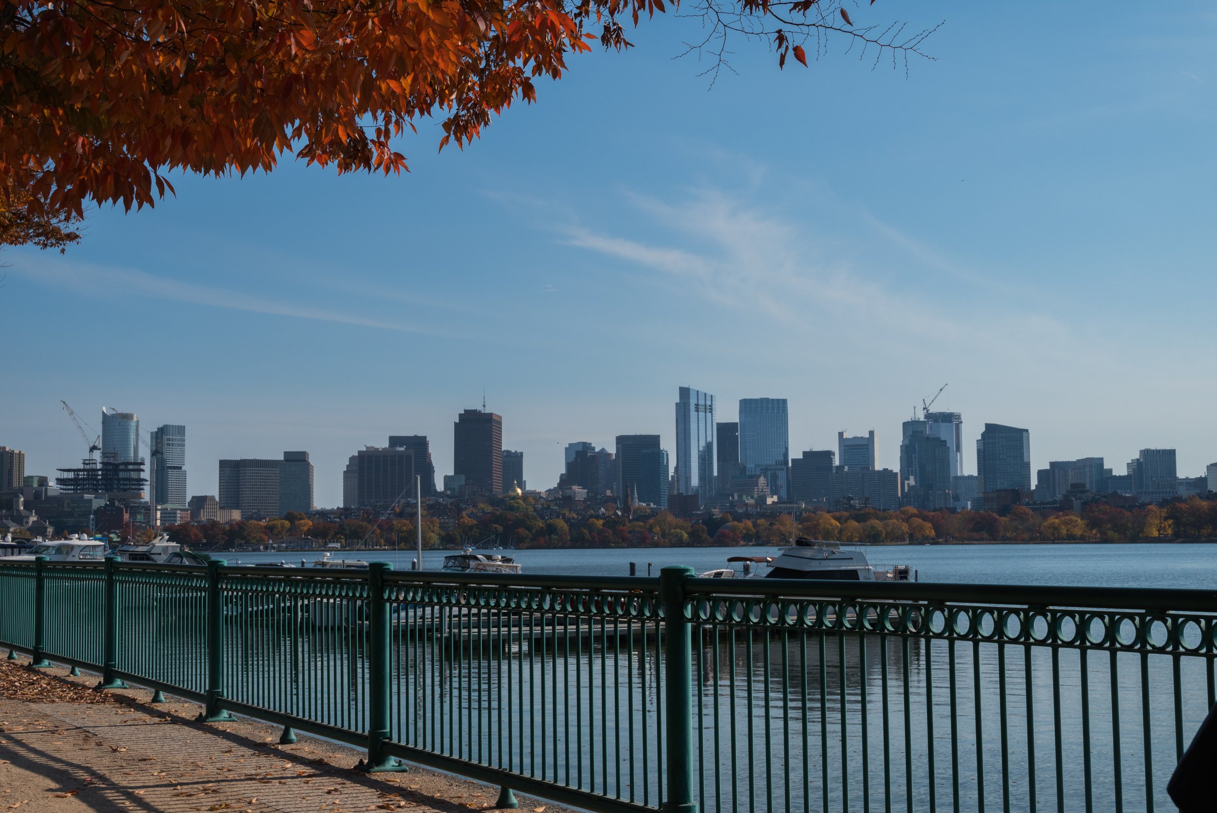 9_DSC_0973.jpg