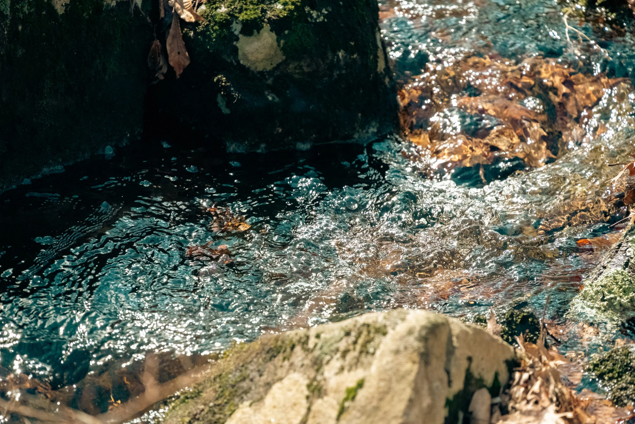 DSC_8593.jpg