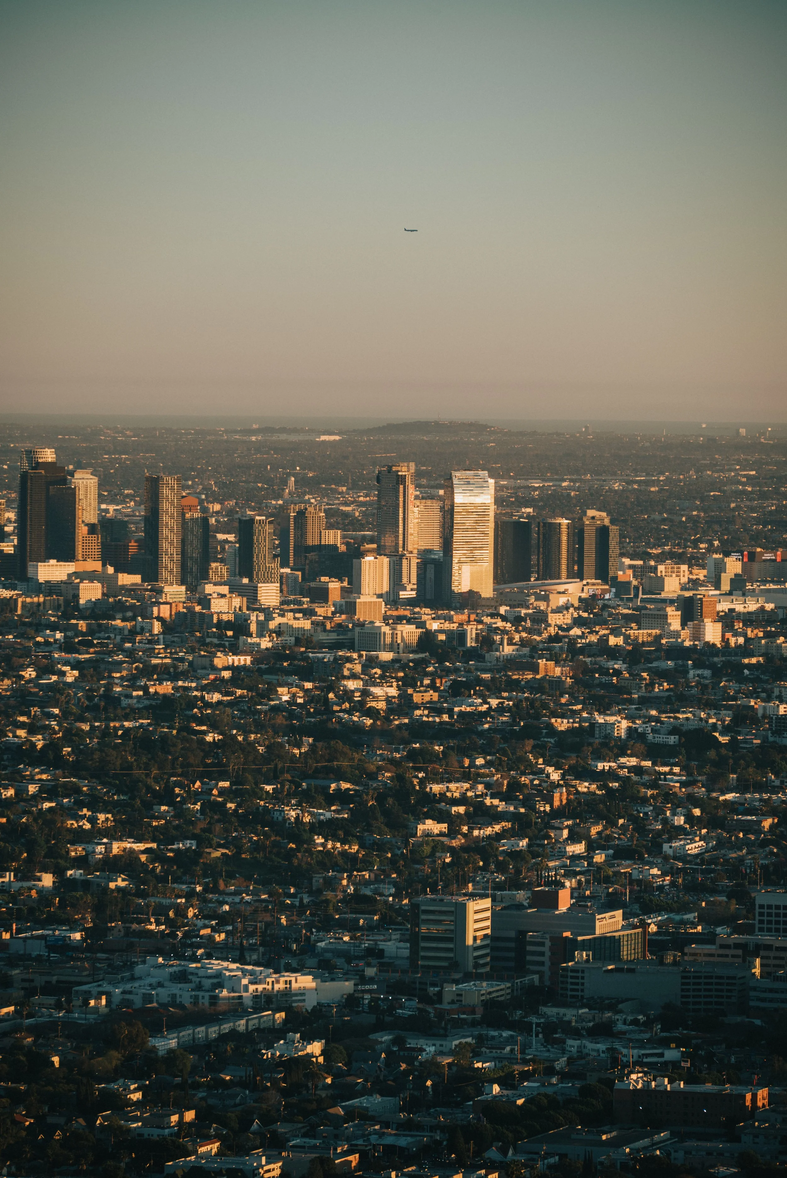 Riley Sawyer California - SoCal