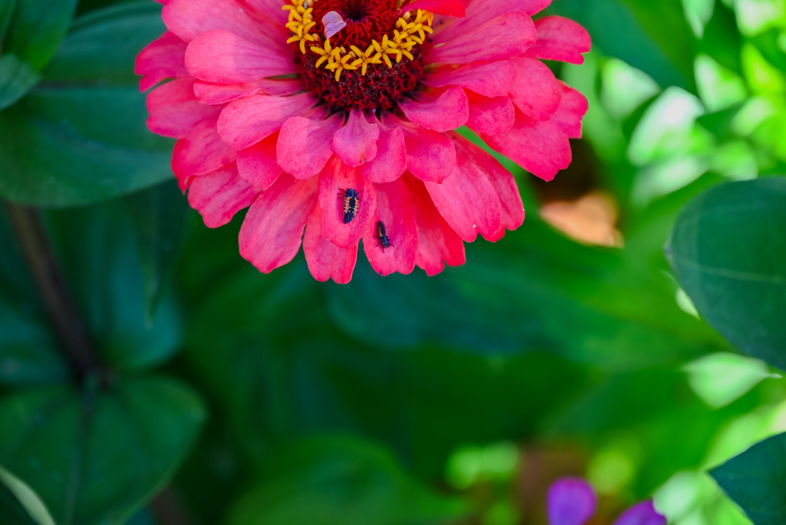 9_DSC_0074.jpg