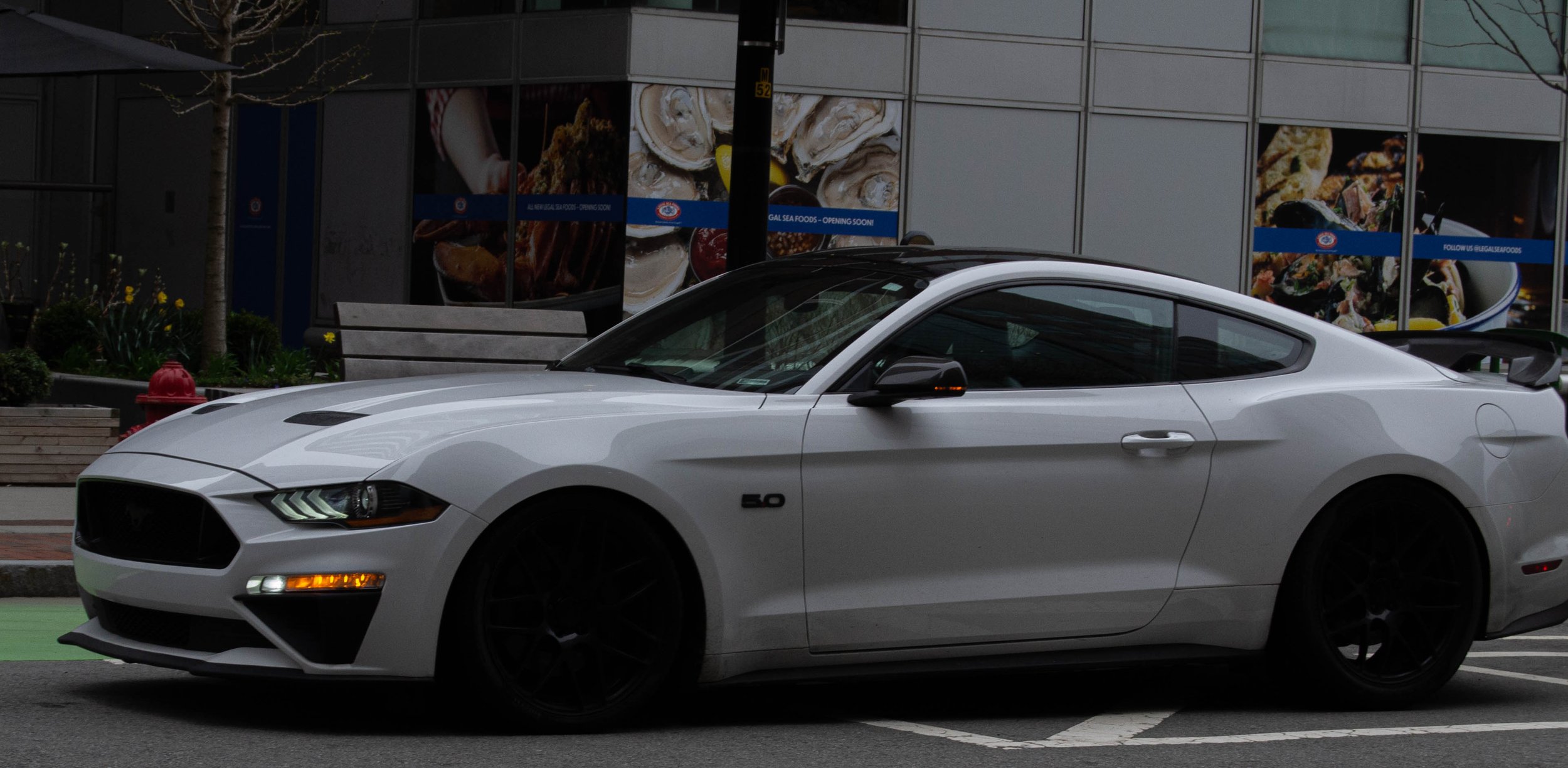 2_DSC_0303 (mustang GT).jpg