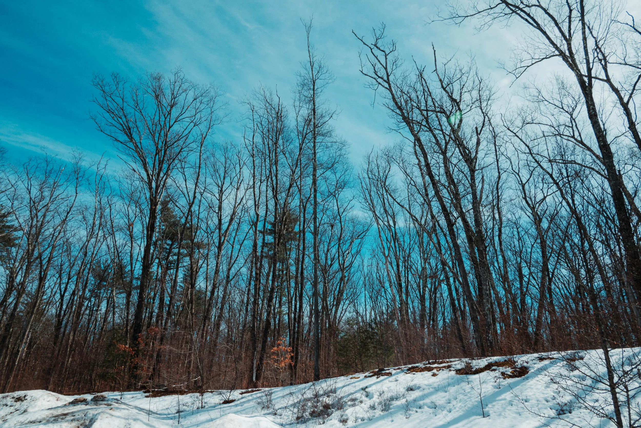 DSC_8297-3.jpg