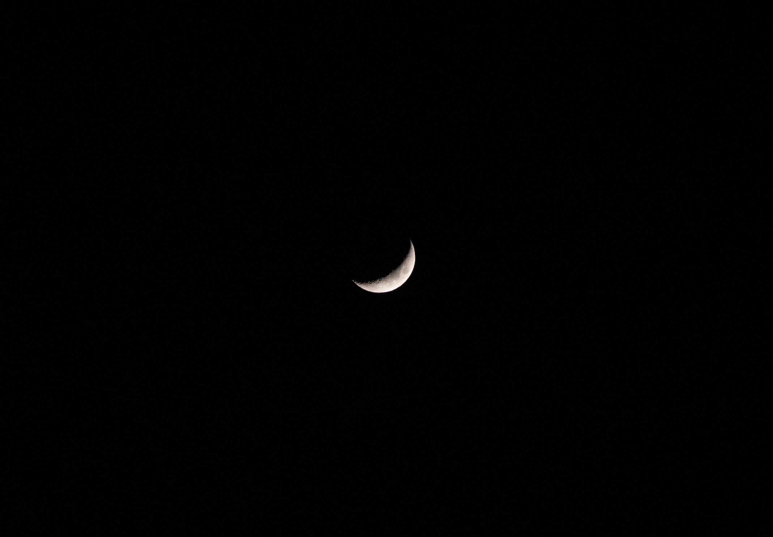 13_DSC_8982.jpg