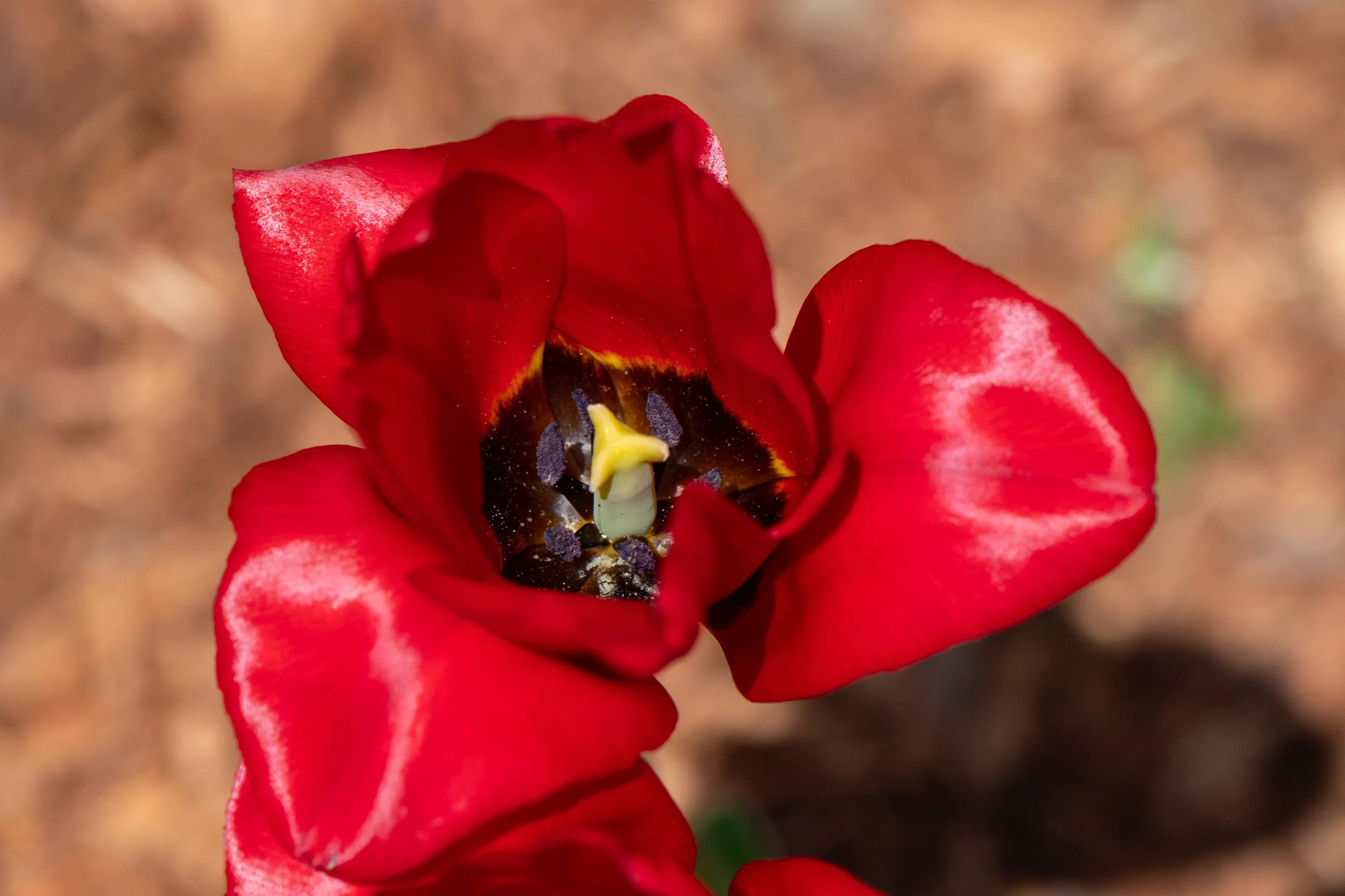 DSC_8775.jpg