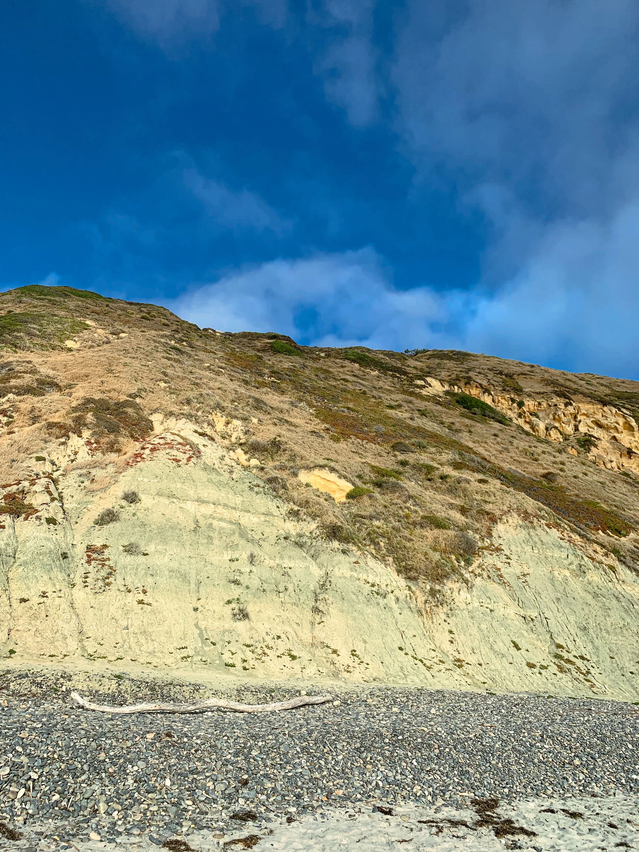 IMG_3153-3.jpg