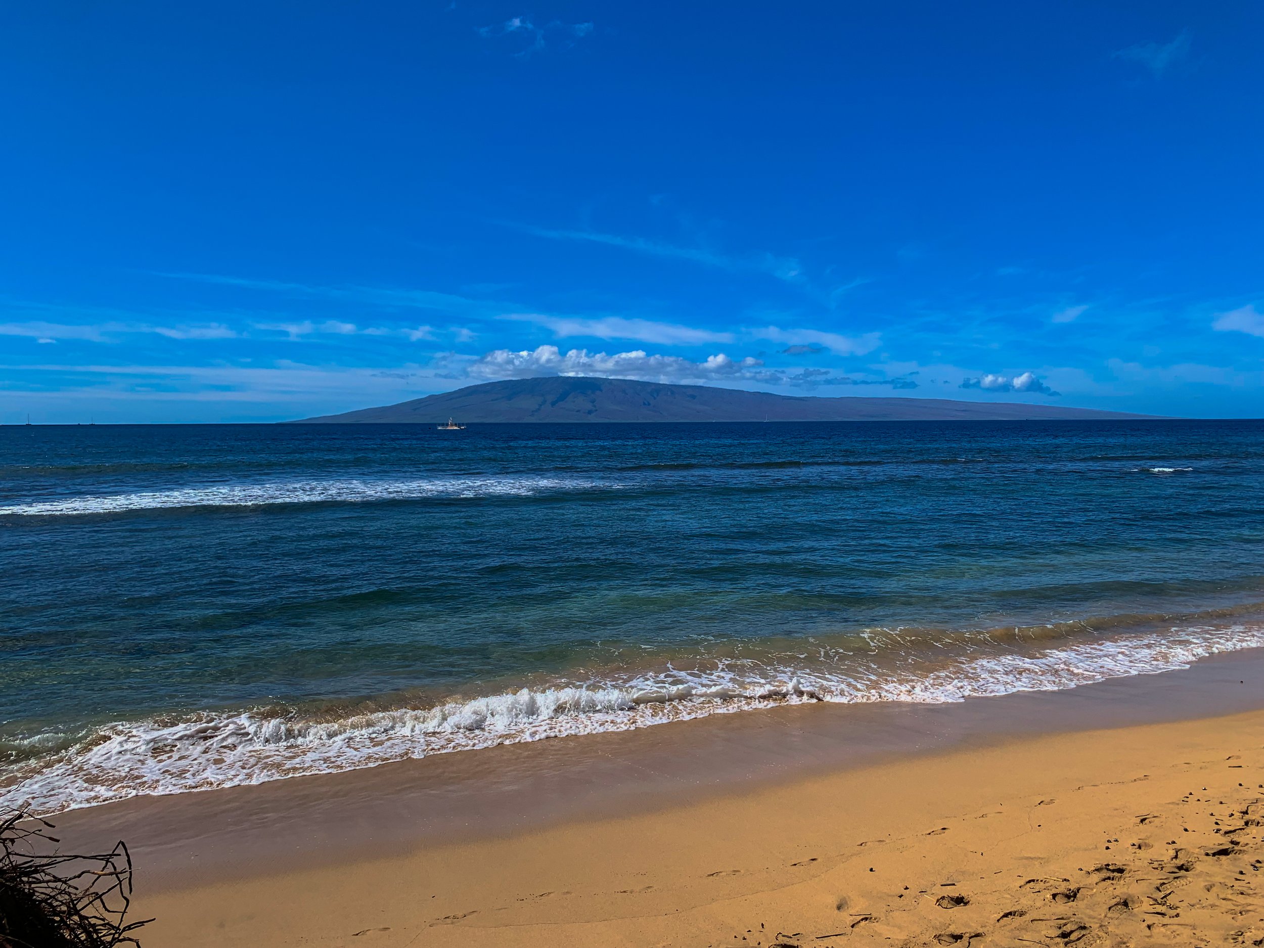 6_IMG_9799-3.jpg