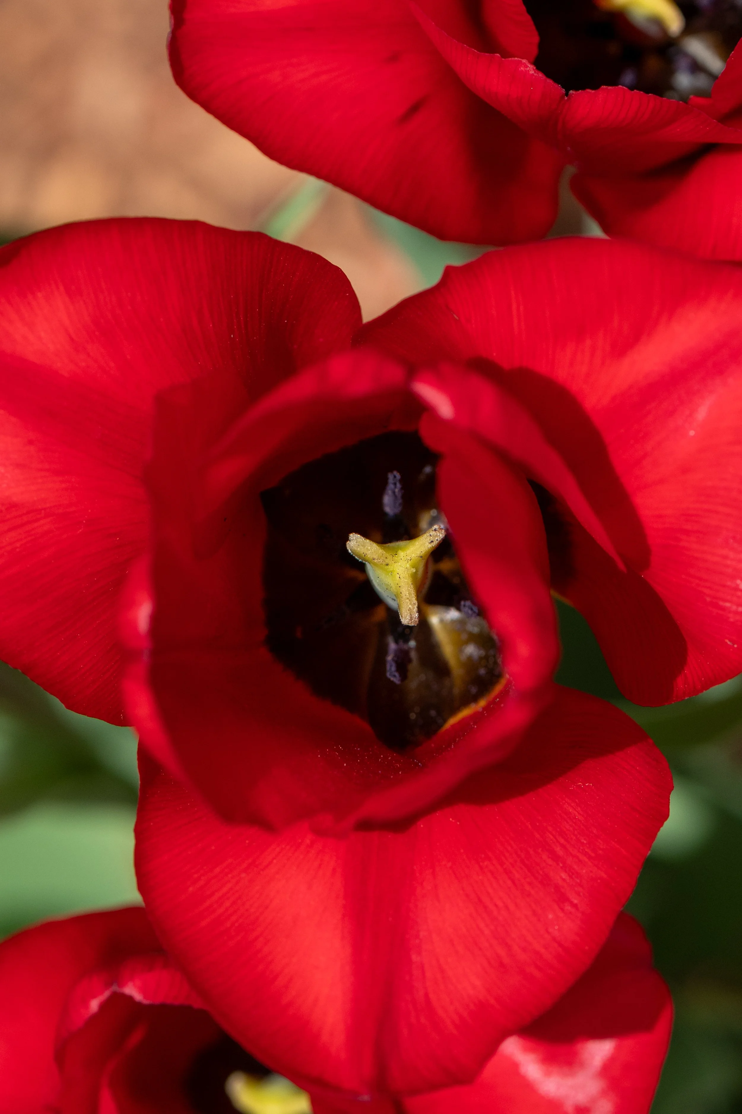 DSC_8777.jpg