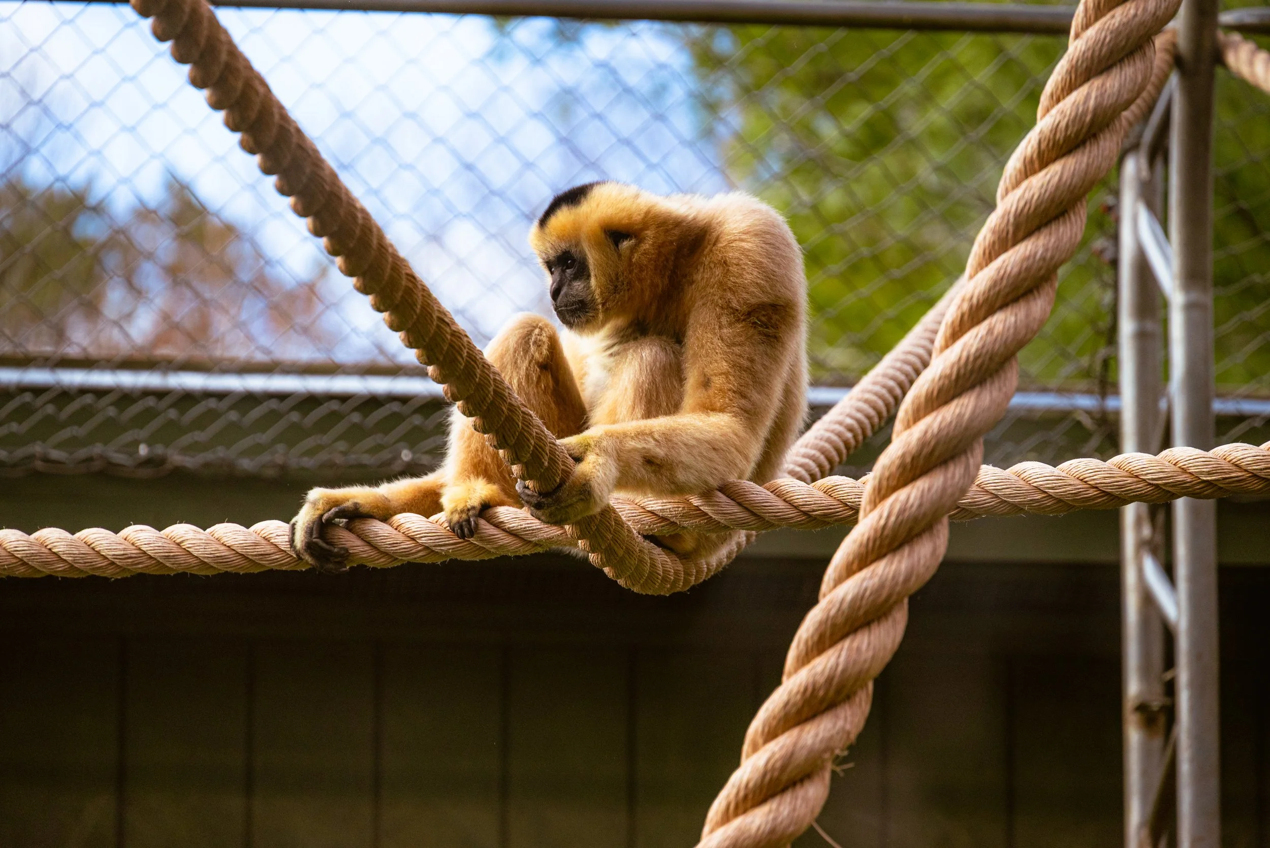 DSC_0582.jpg
