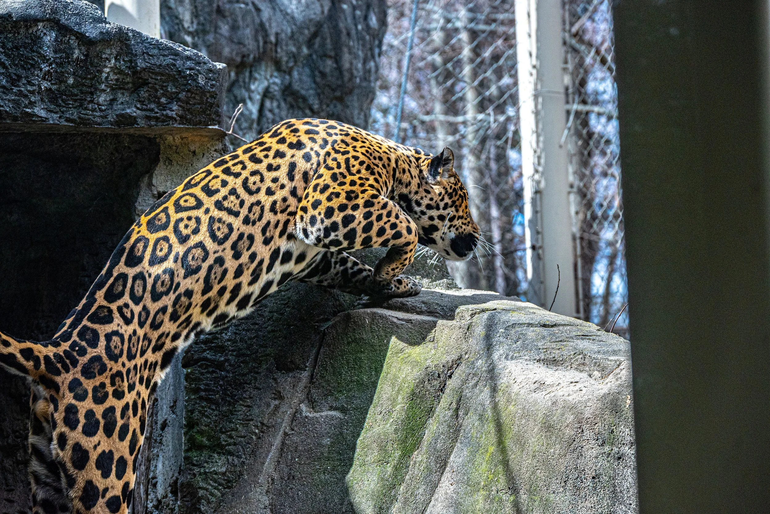 zoo 12.jpg