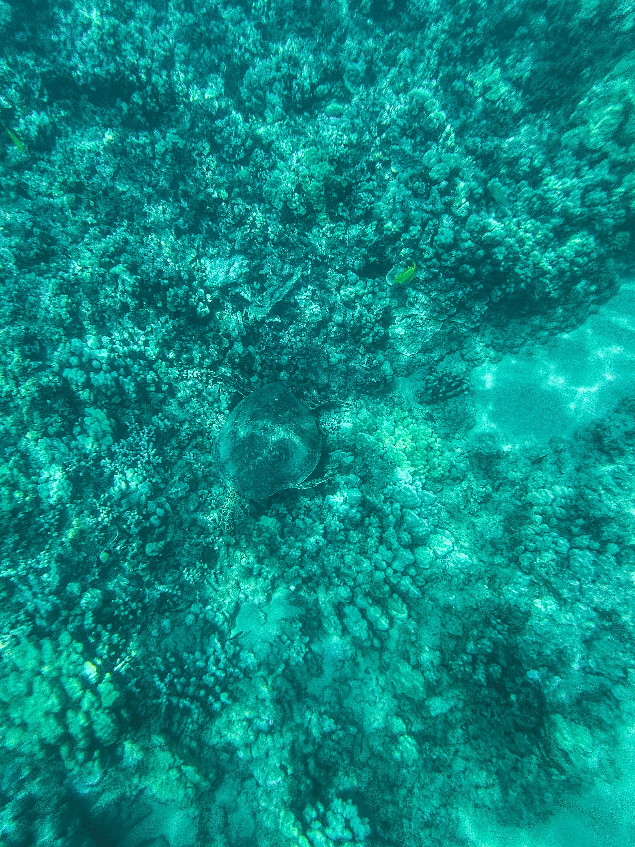 IMG_8625.jpg