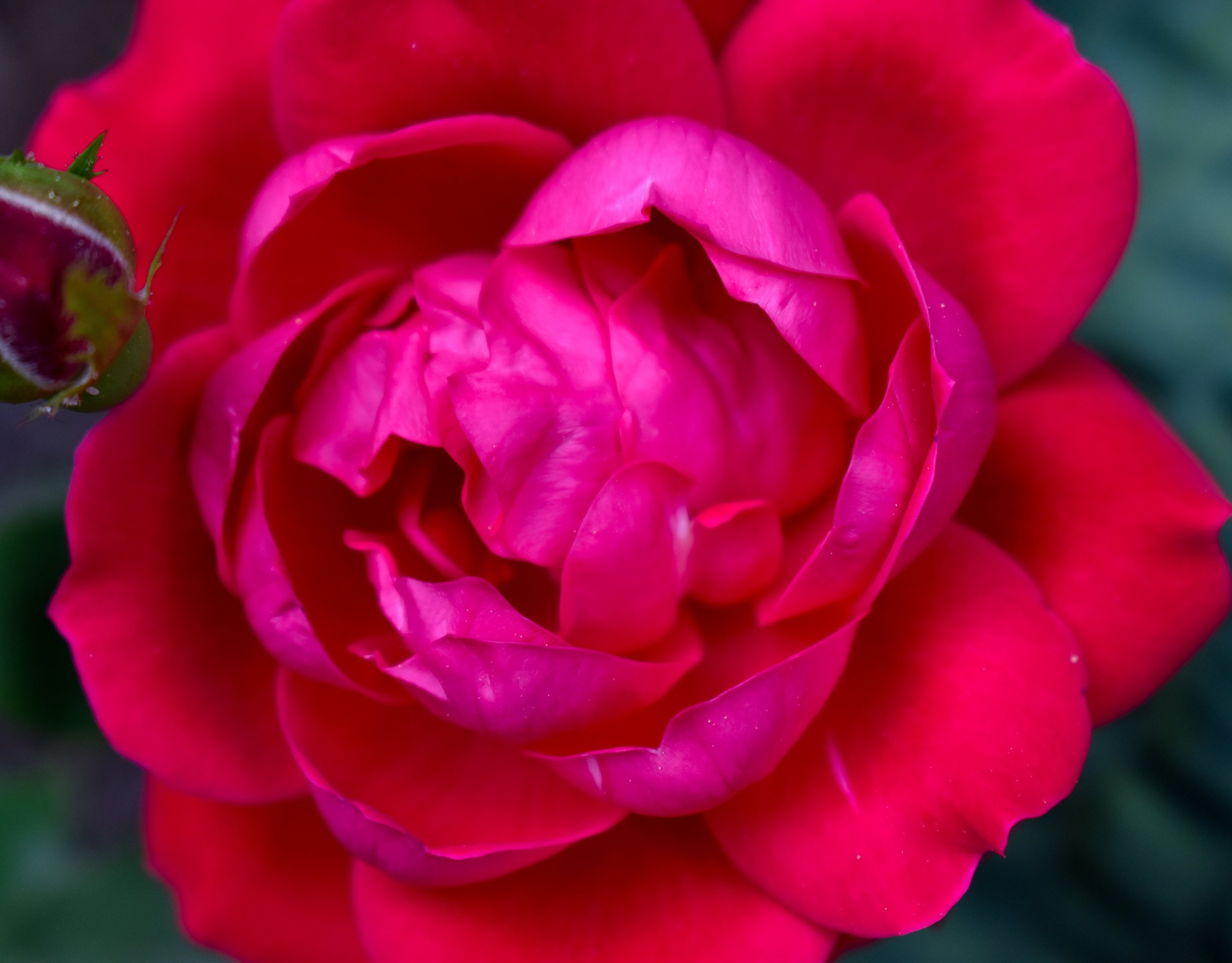 DSC_0517.jpg