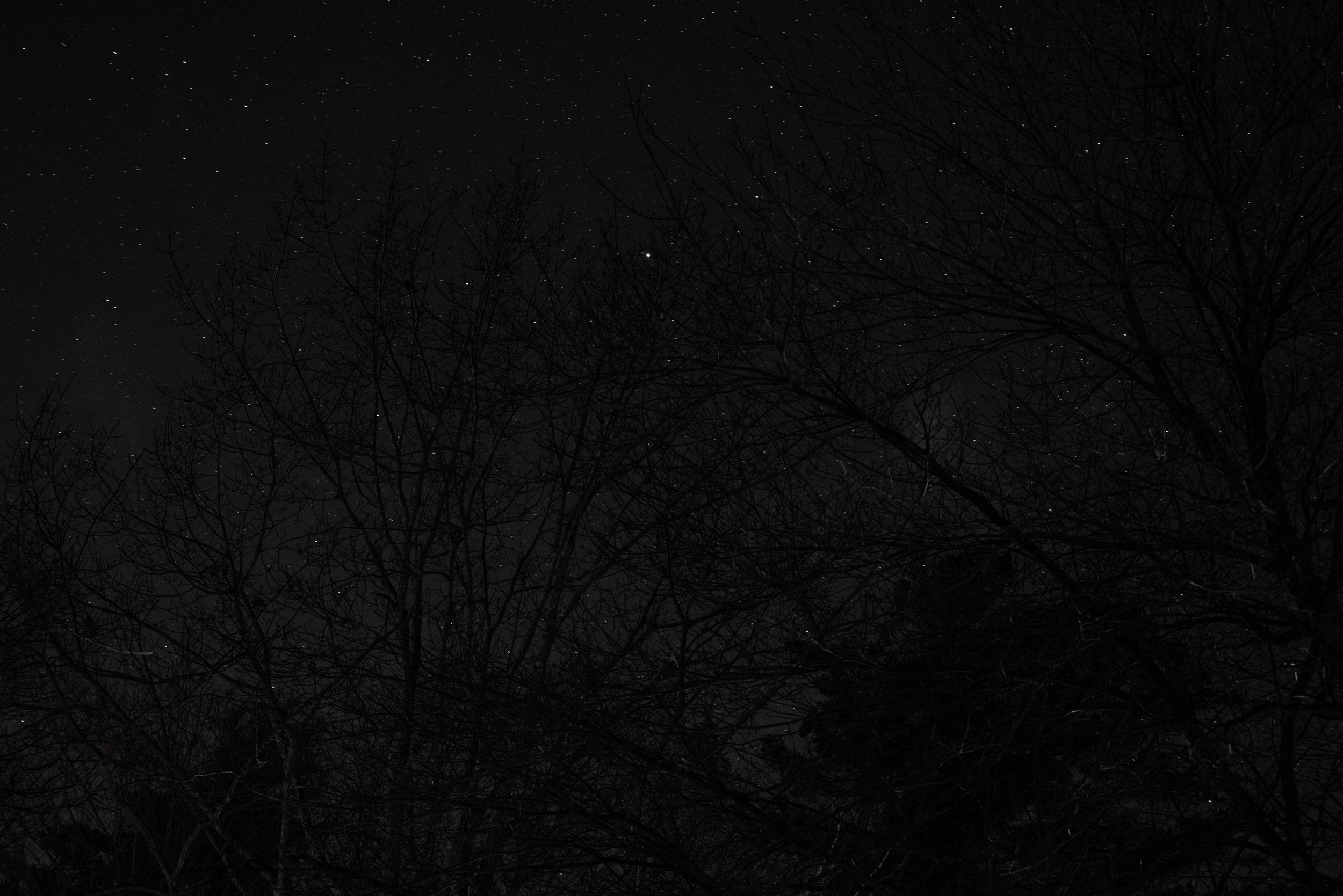 12_DSC_3375.jpg