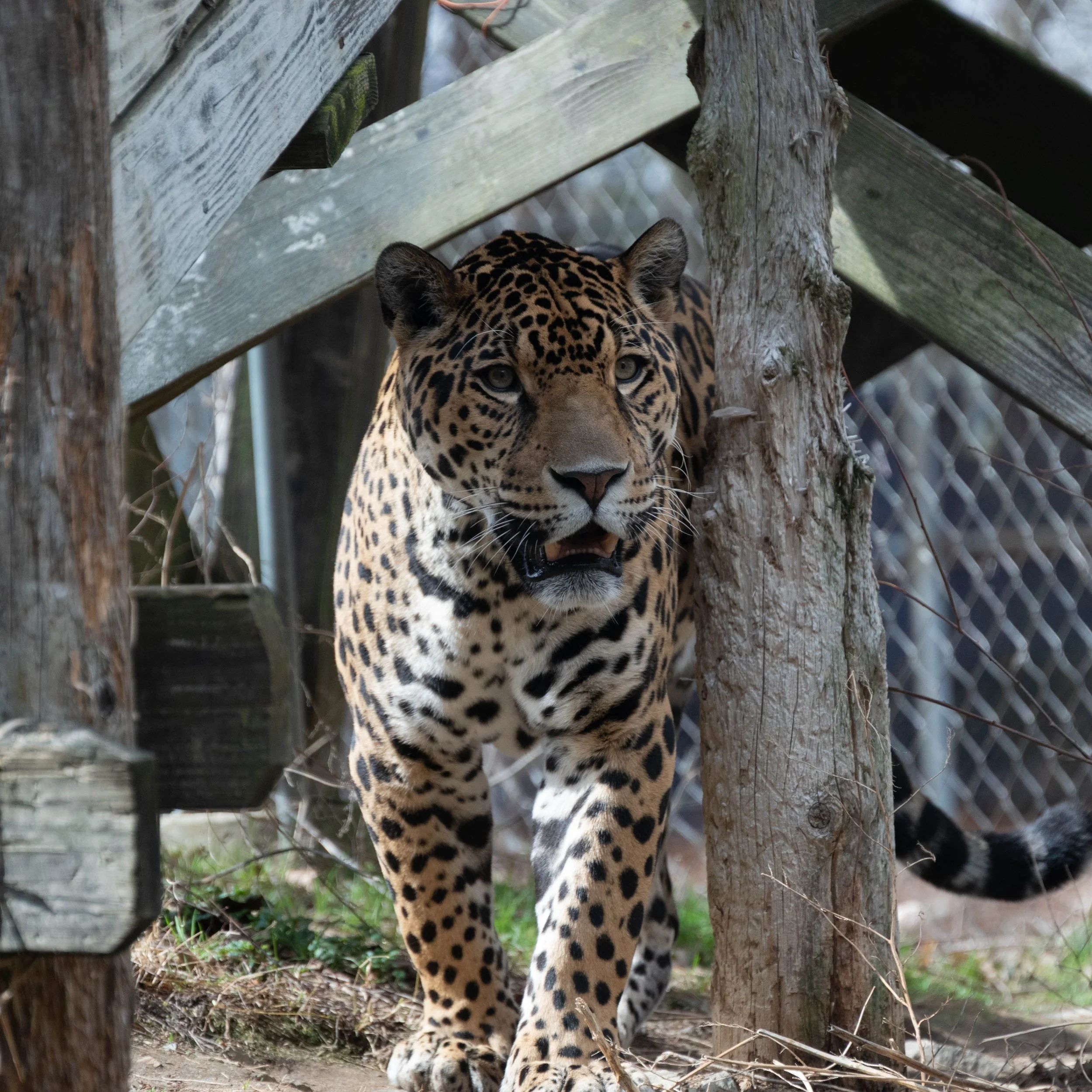 DSC_6493.jpg