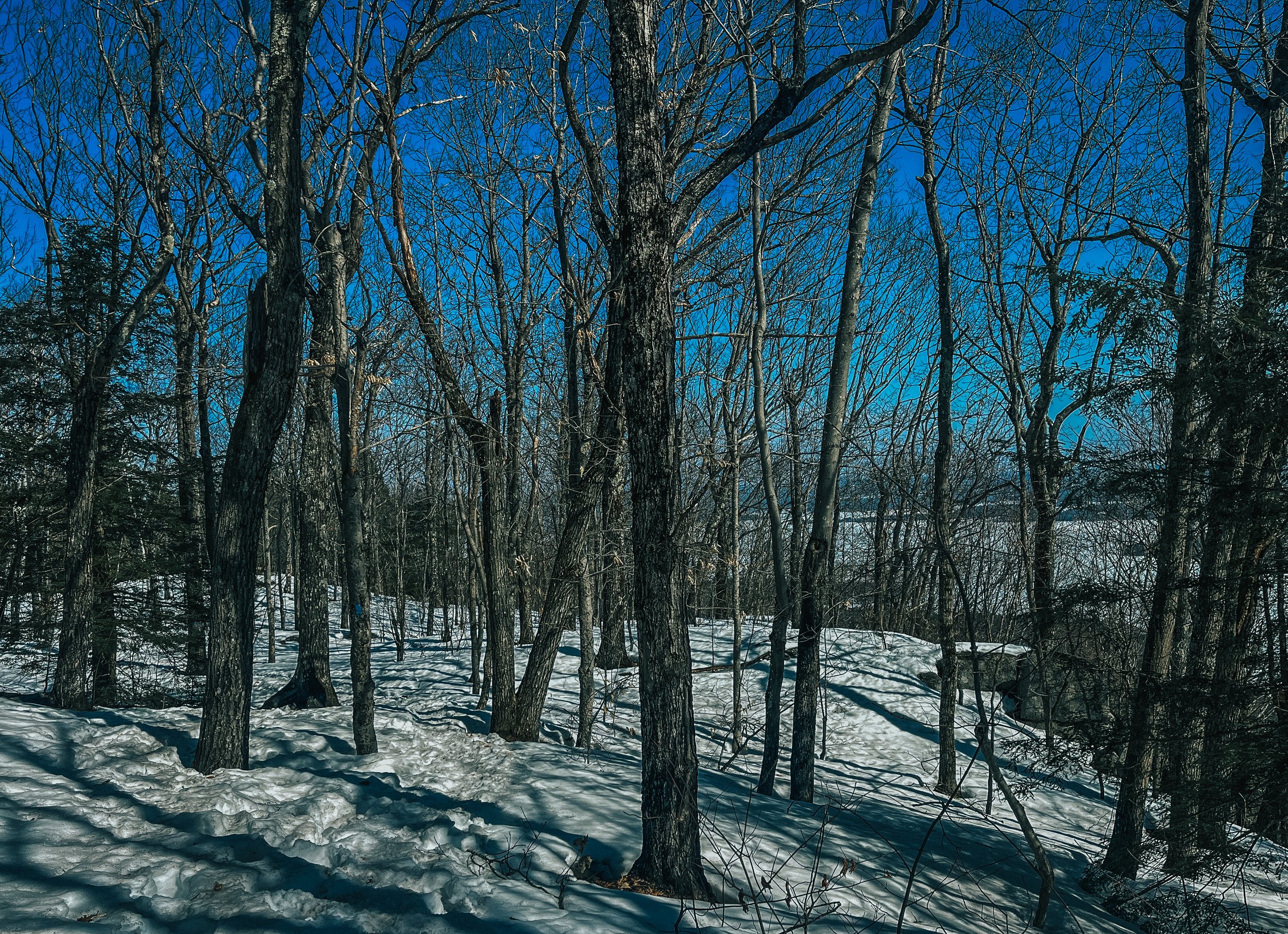 IMG_5117.jpg