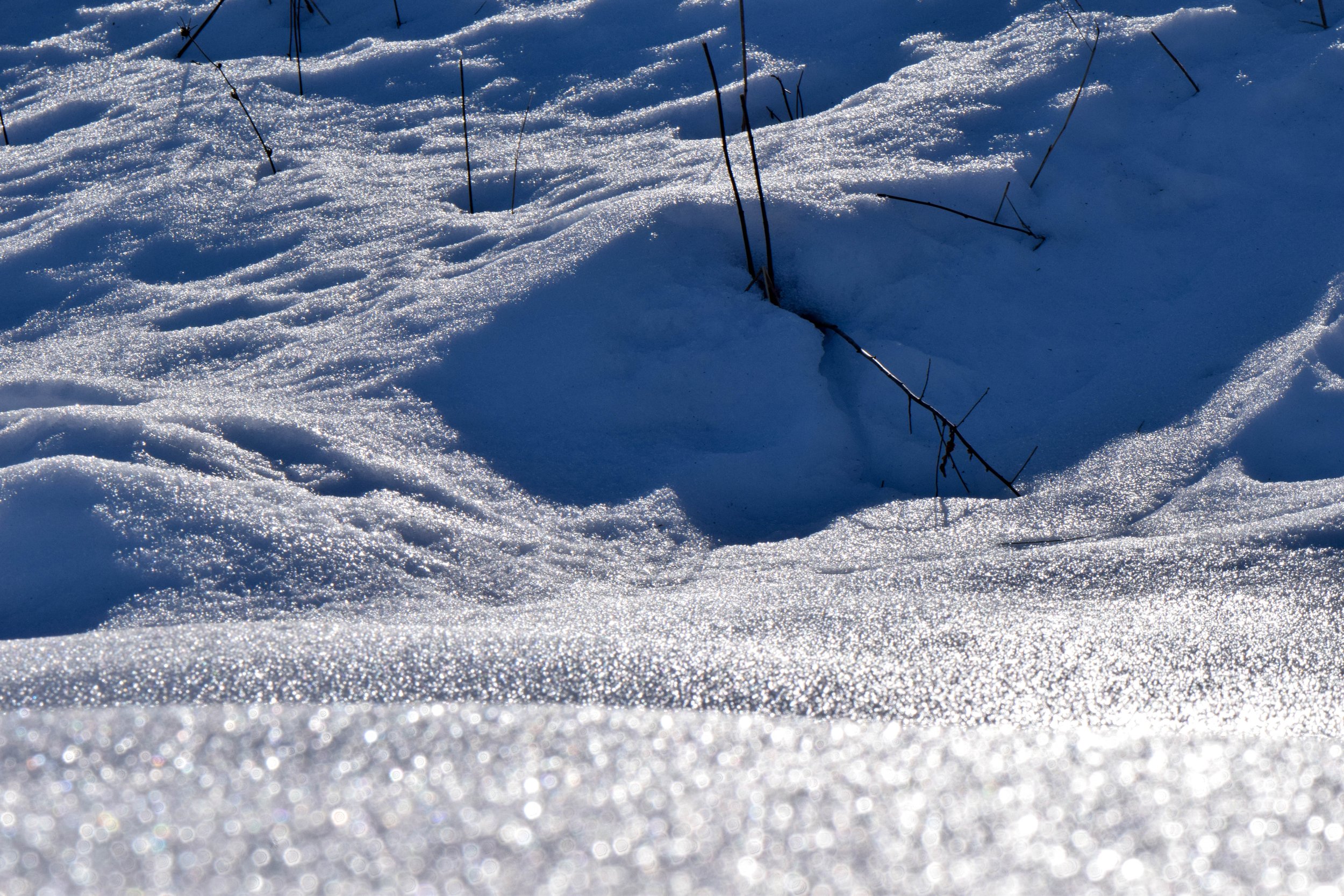 4 - DSC_0027.jpg