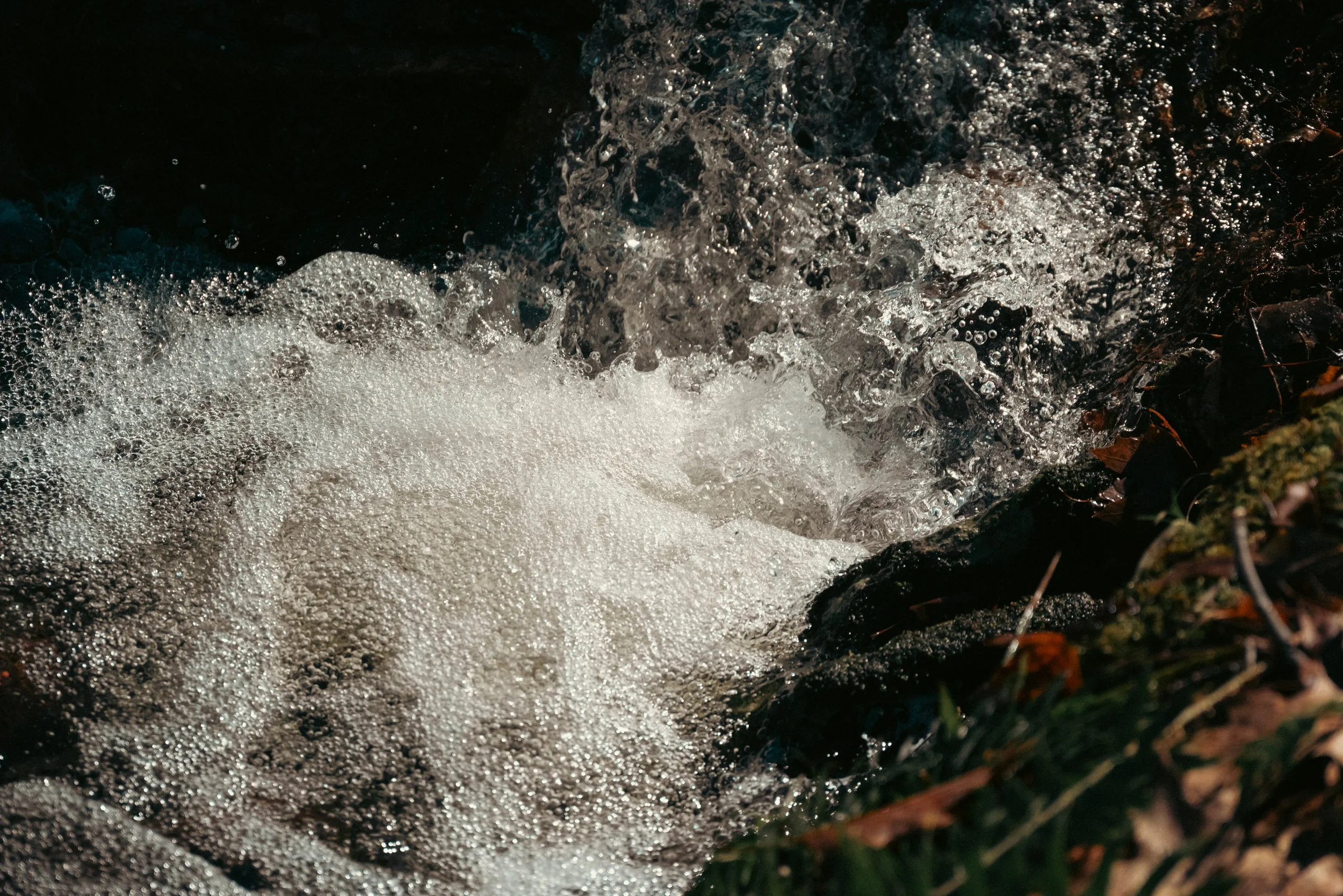 DSC_8619.jpg