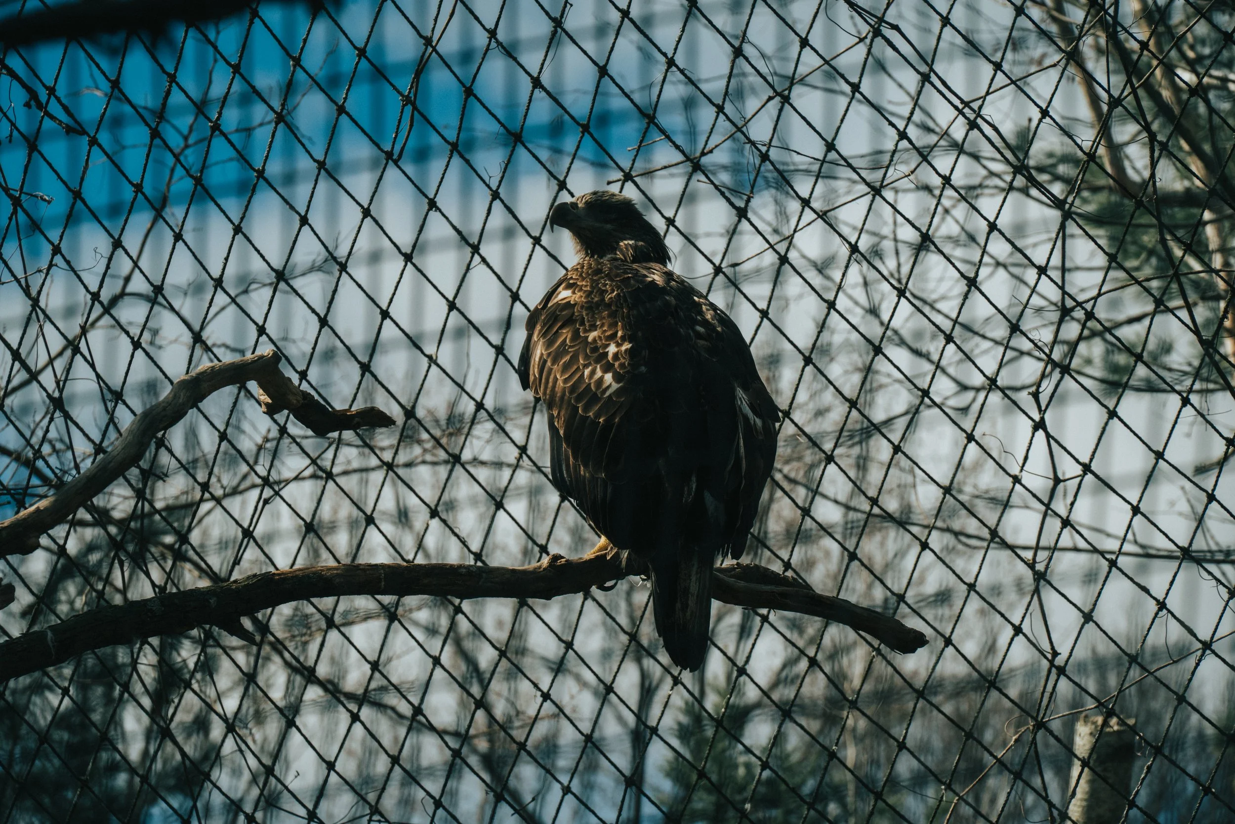 DSC_3789.jpg
