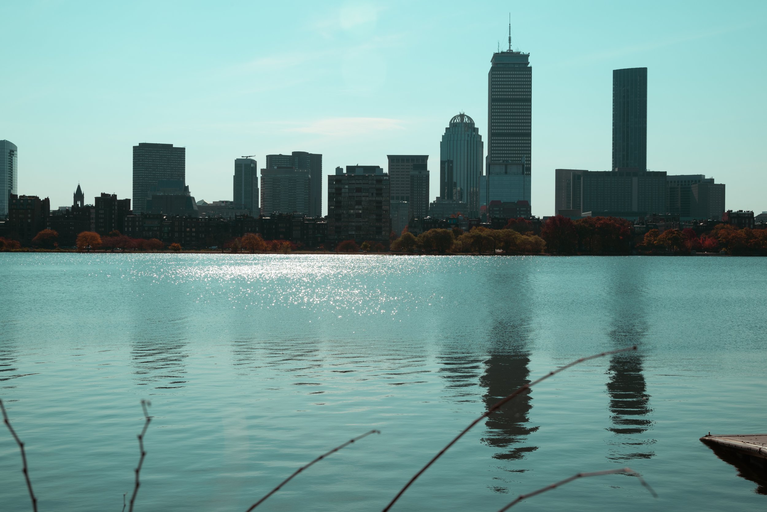 1_DSC_1100.jpg