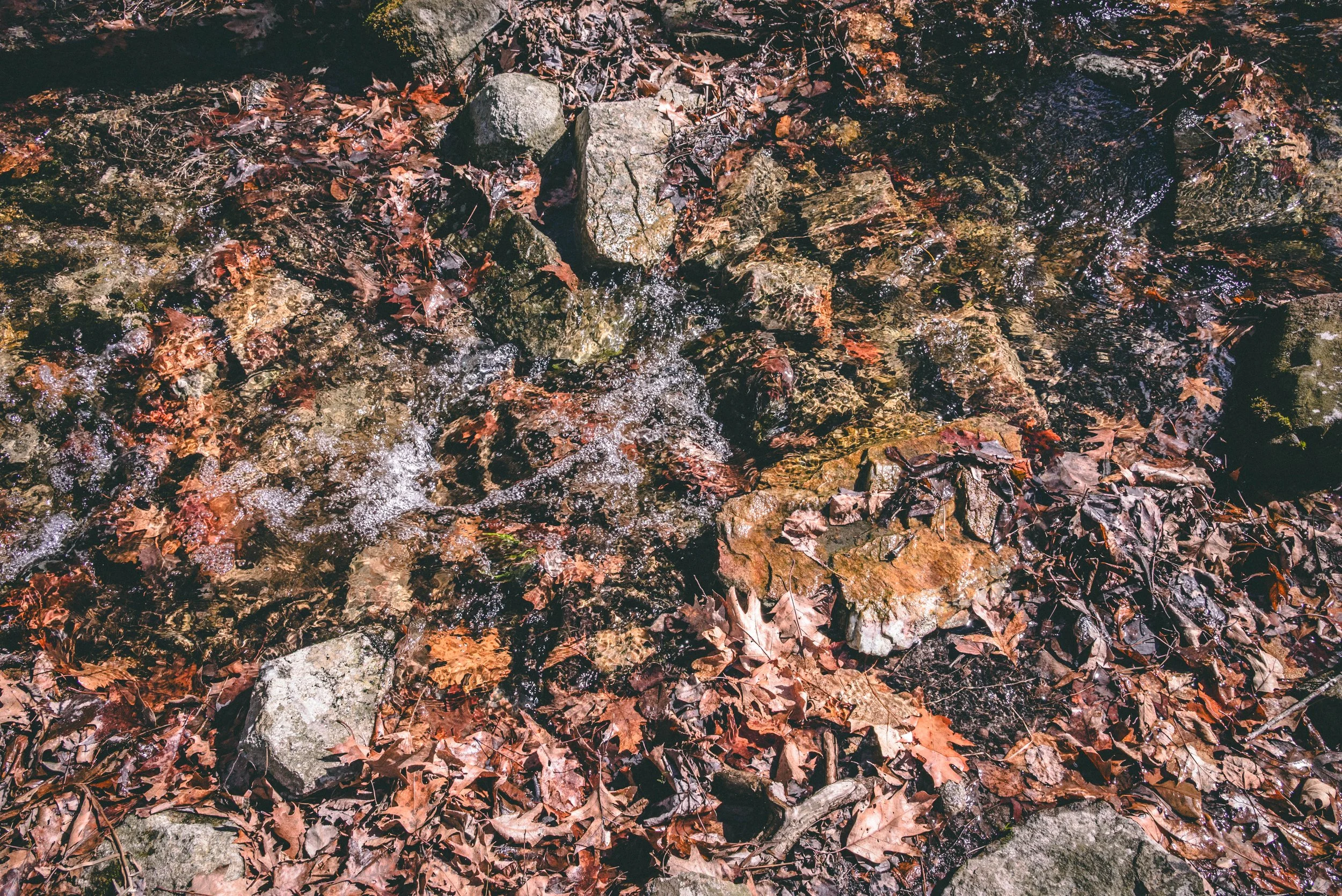 DSC_0157-2.jpg