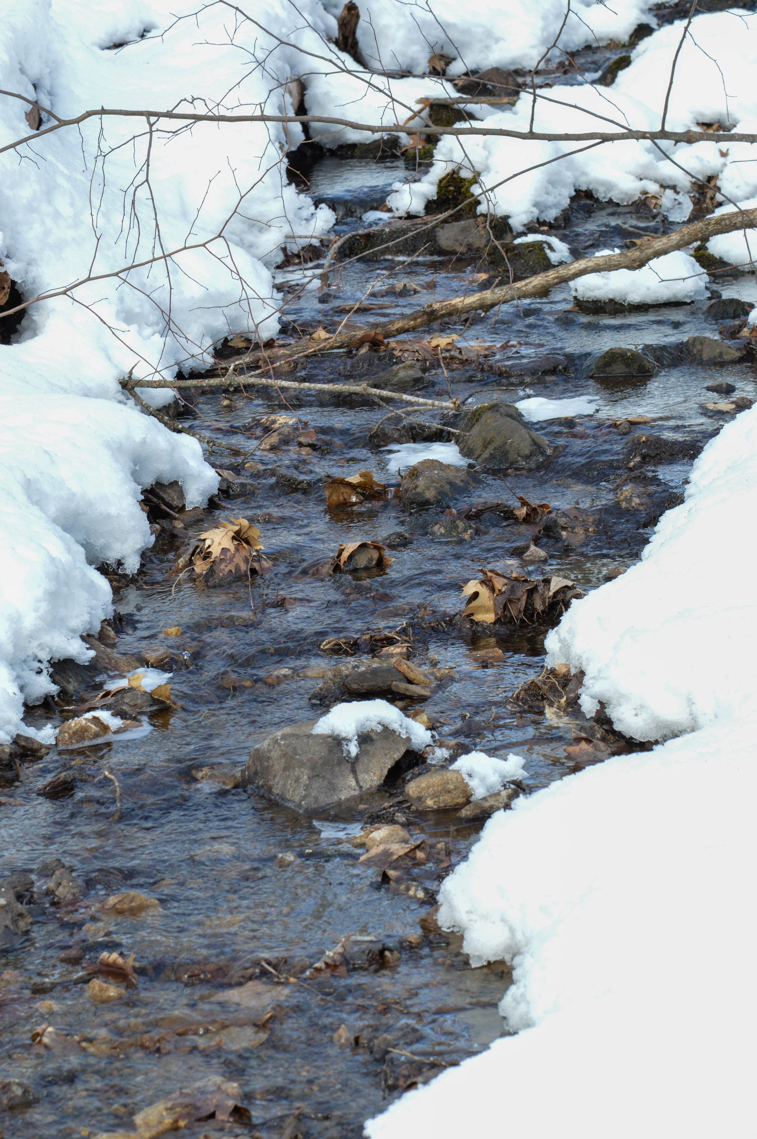2 - DSC_0021.jpg