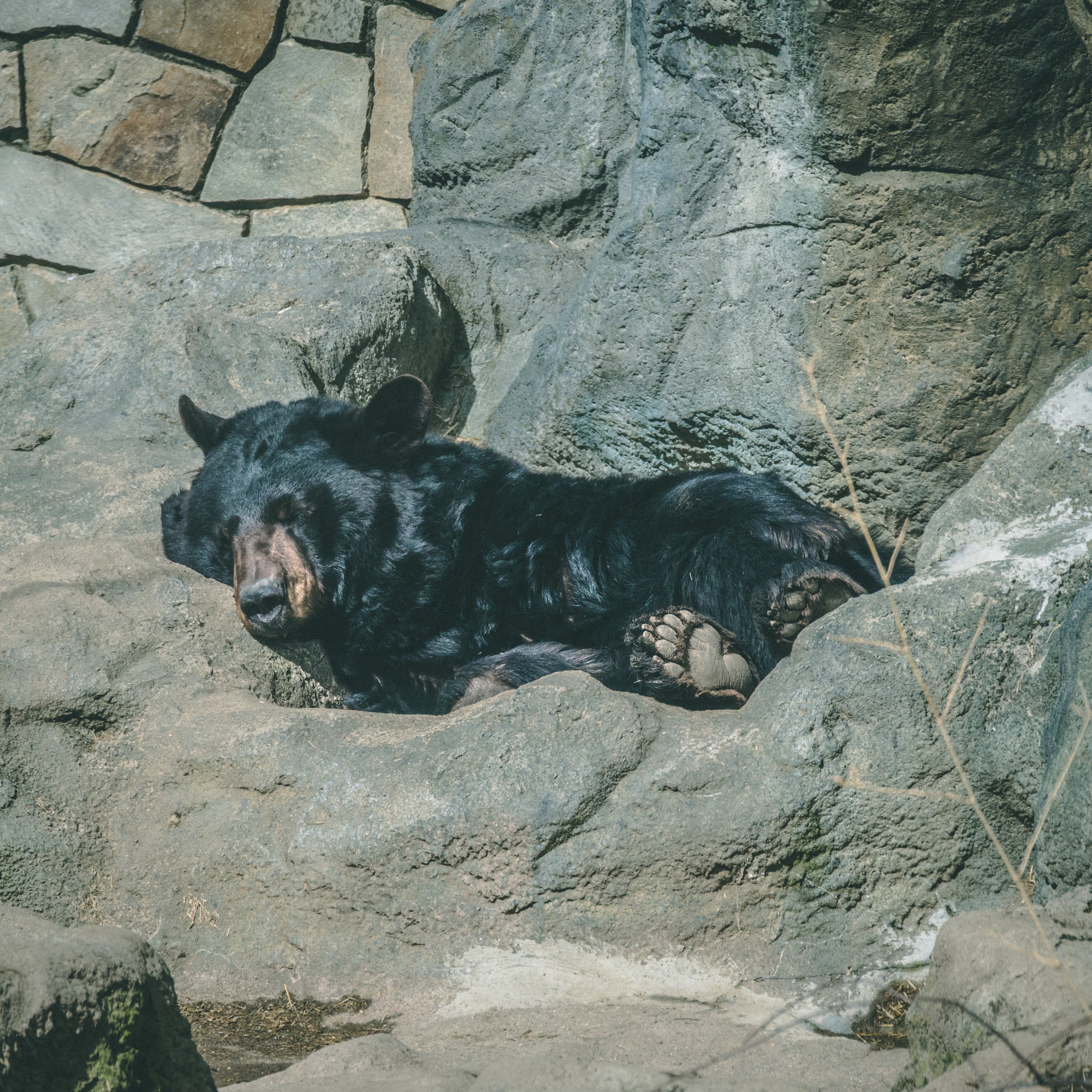 DSC_3781.jpg