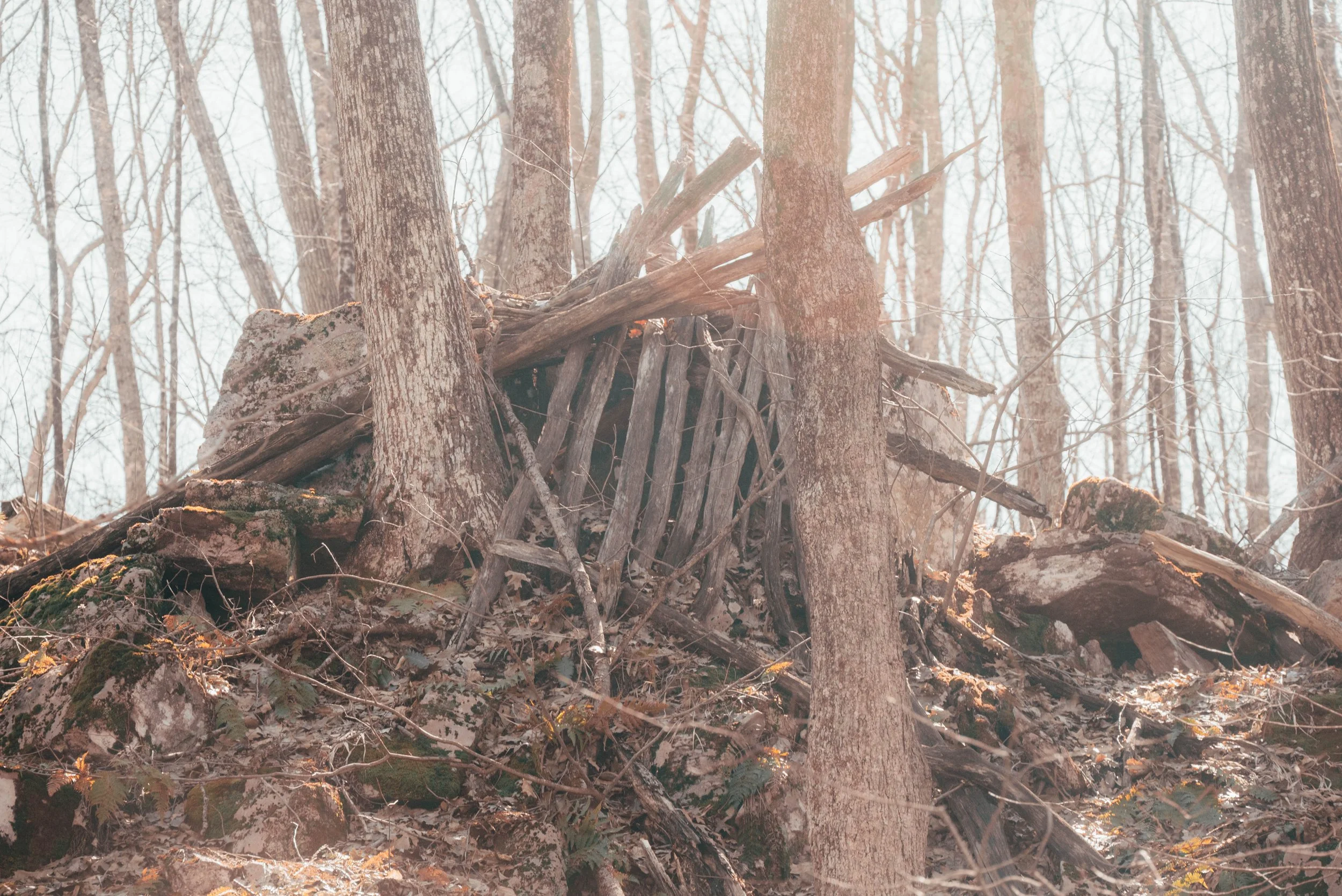 DSC_0173.jpg