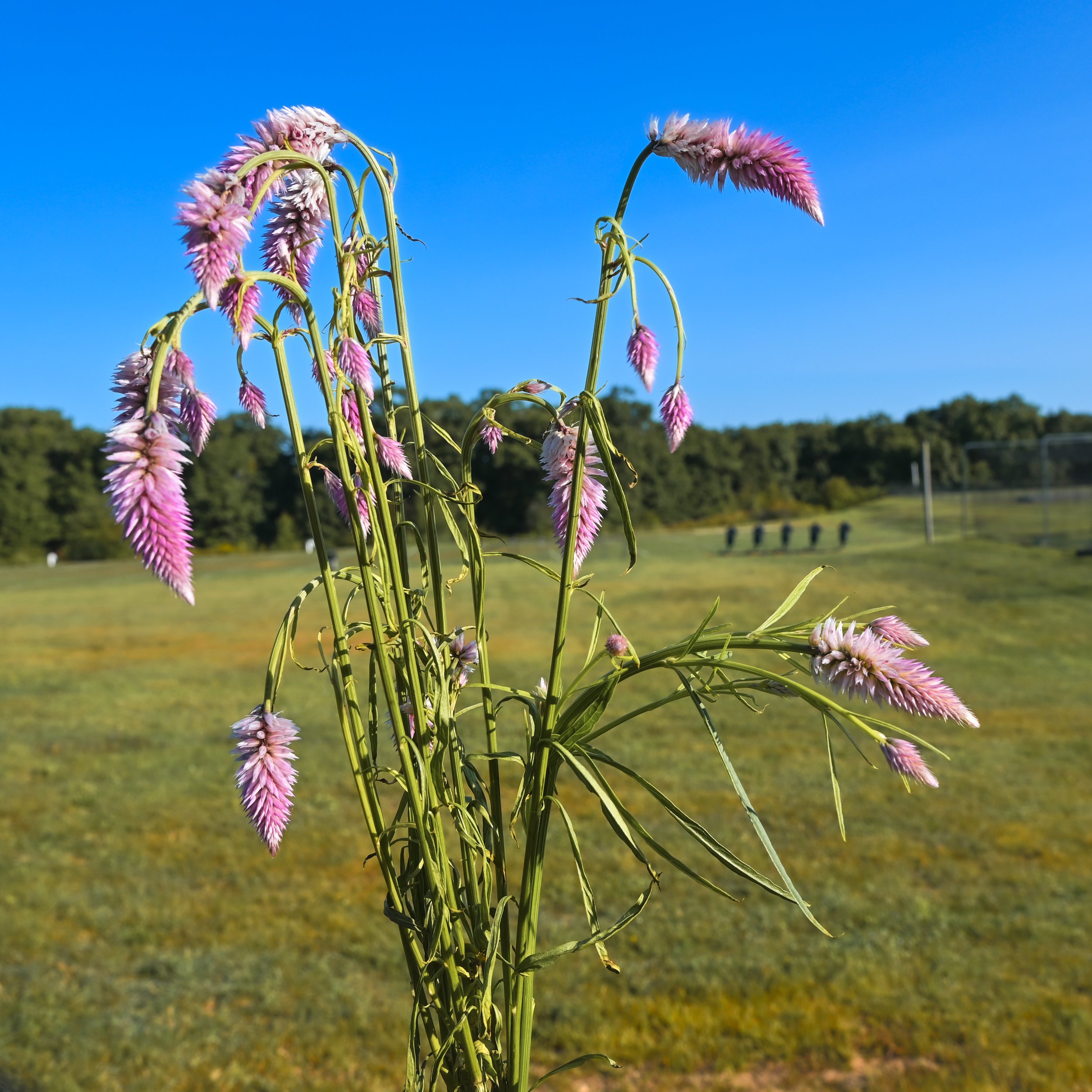 19_DSC_0035.jpg