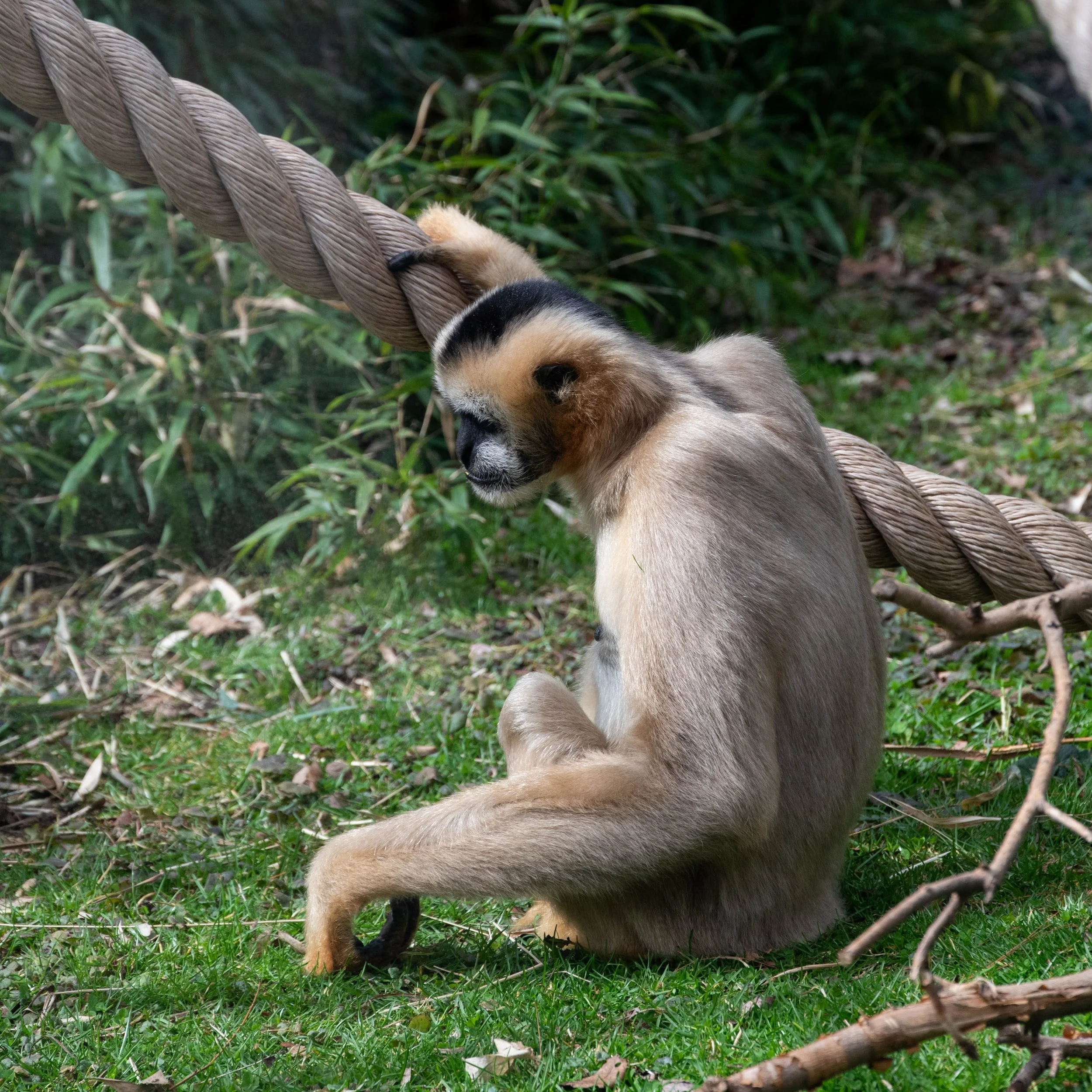 DSC_6488.jpg