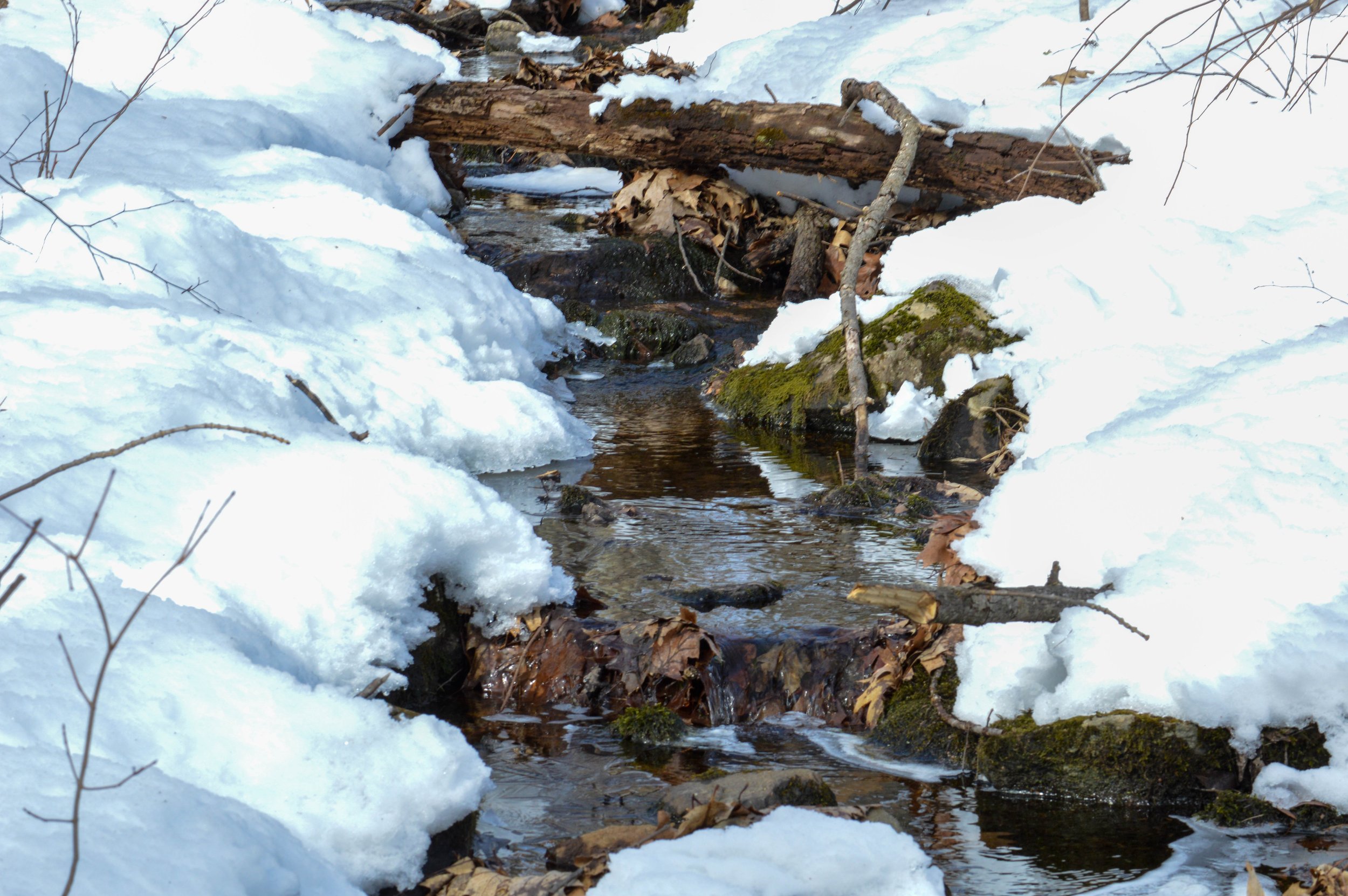 1 - DSC_0016.jpg