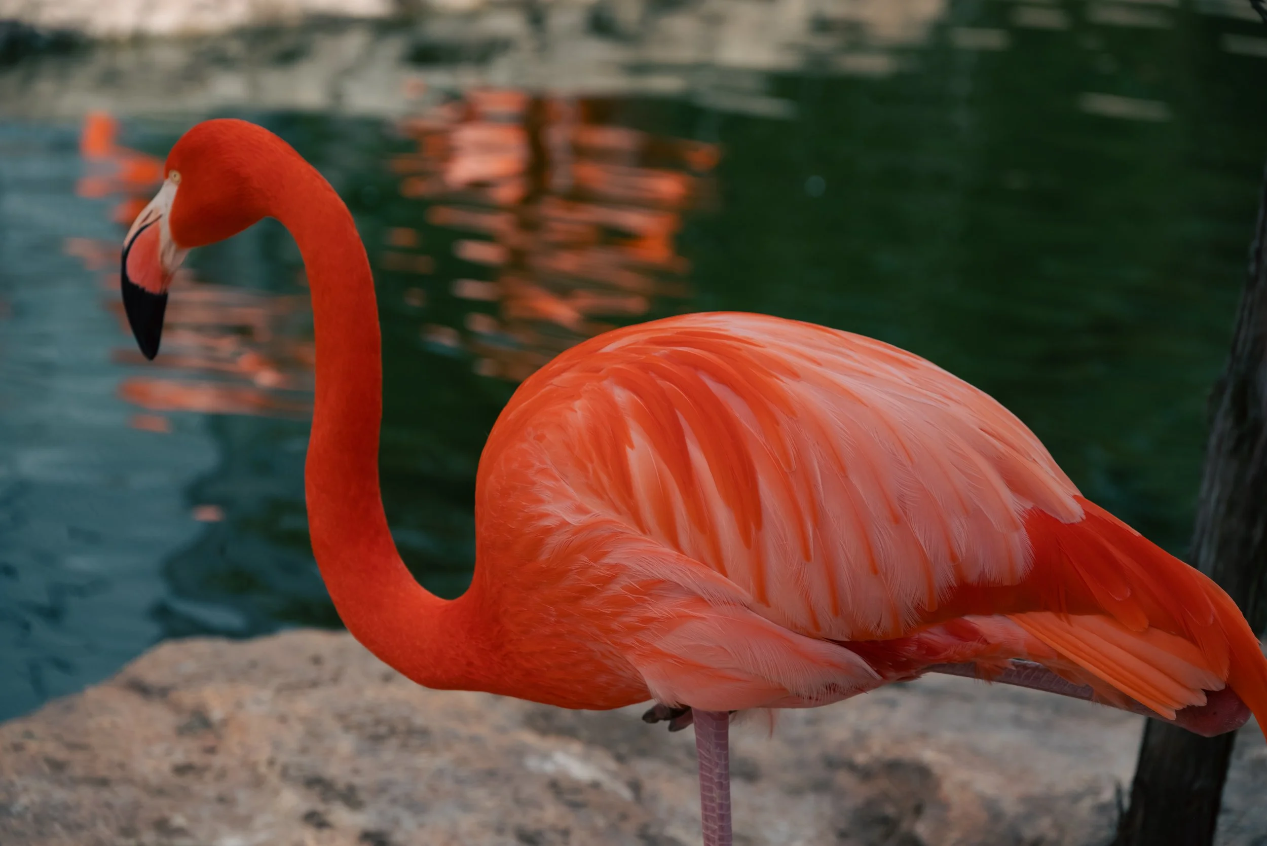 DSC_9620-2.jpg