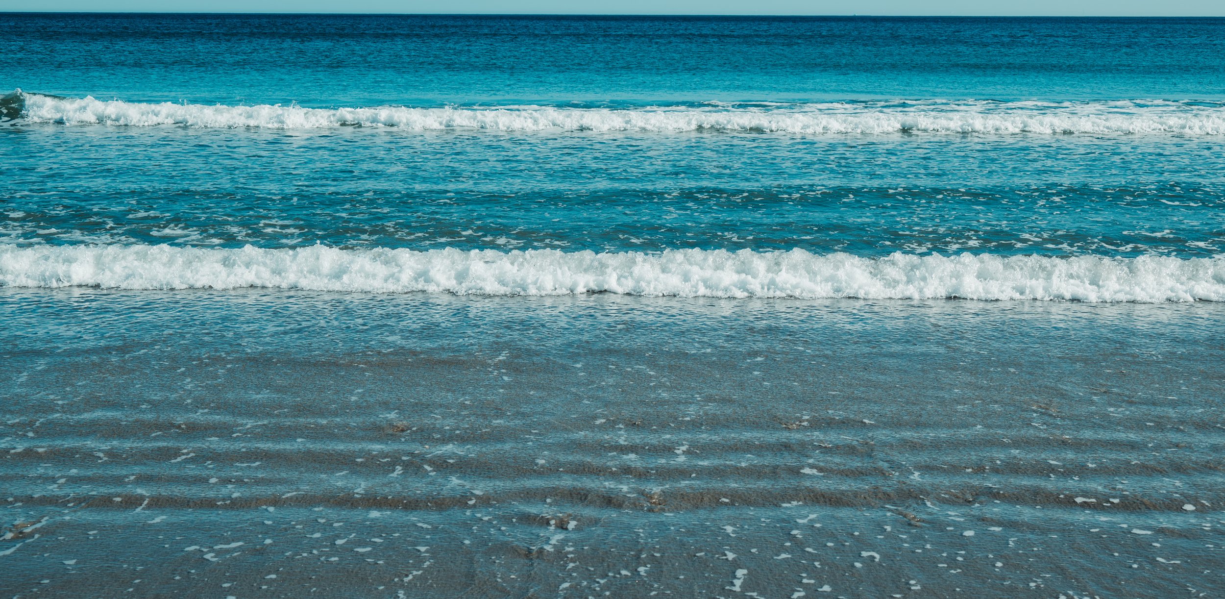 DSC_1698.jpg