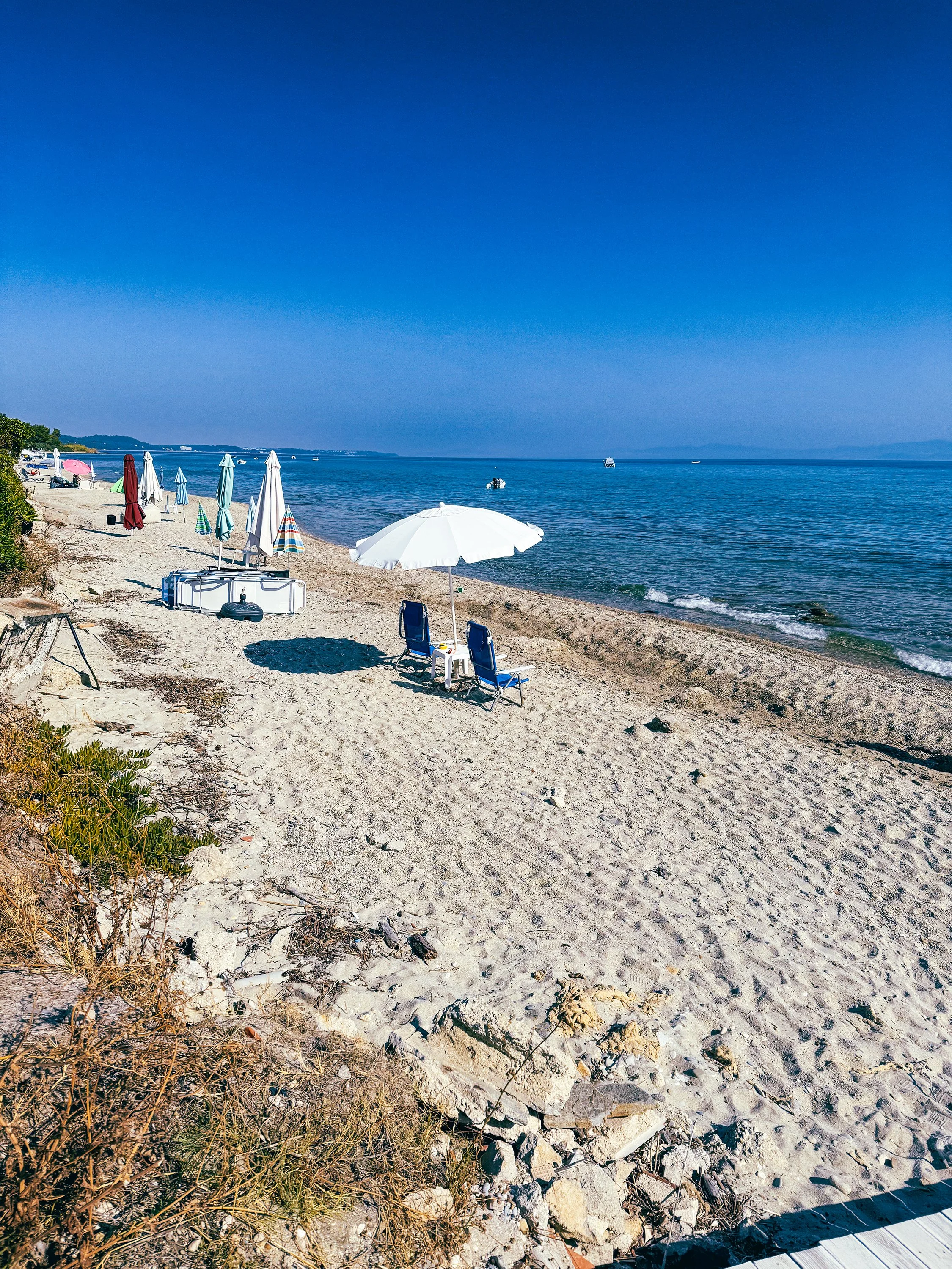 IMG_0134-3 copy.jpg