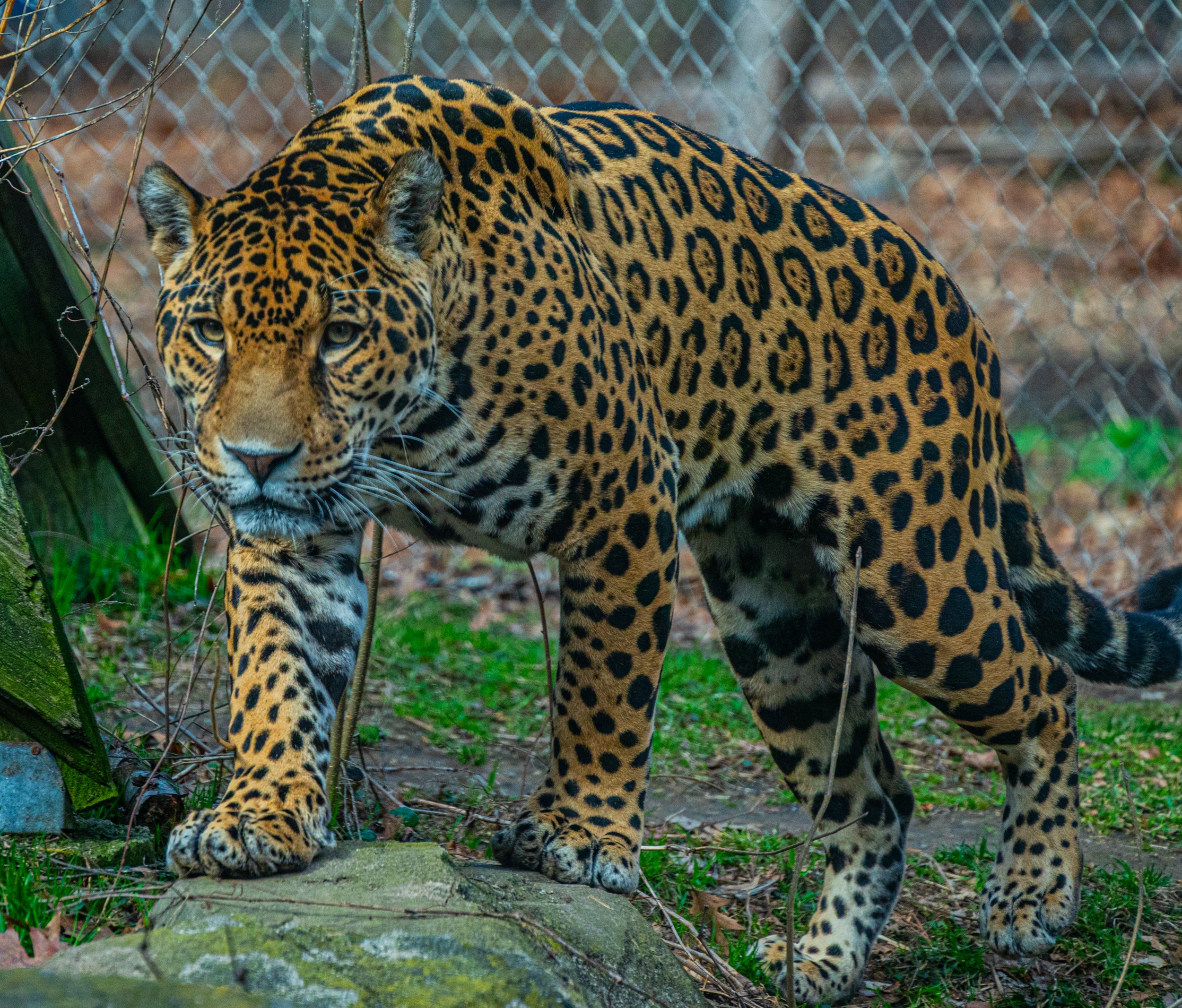 DSC_3591.jpg