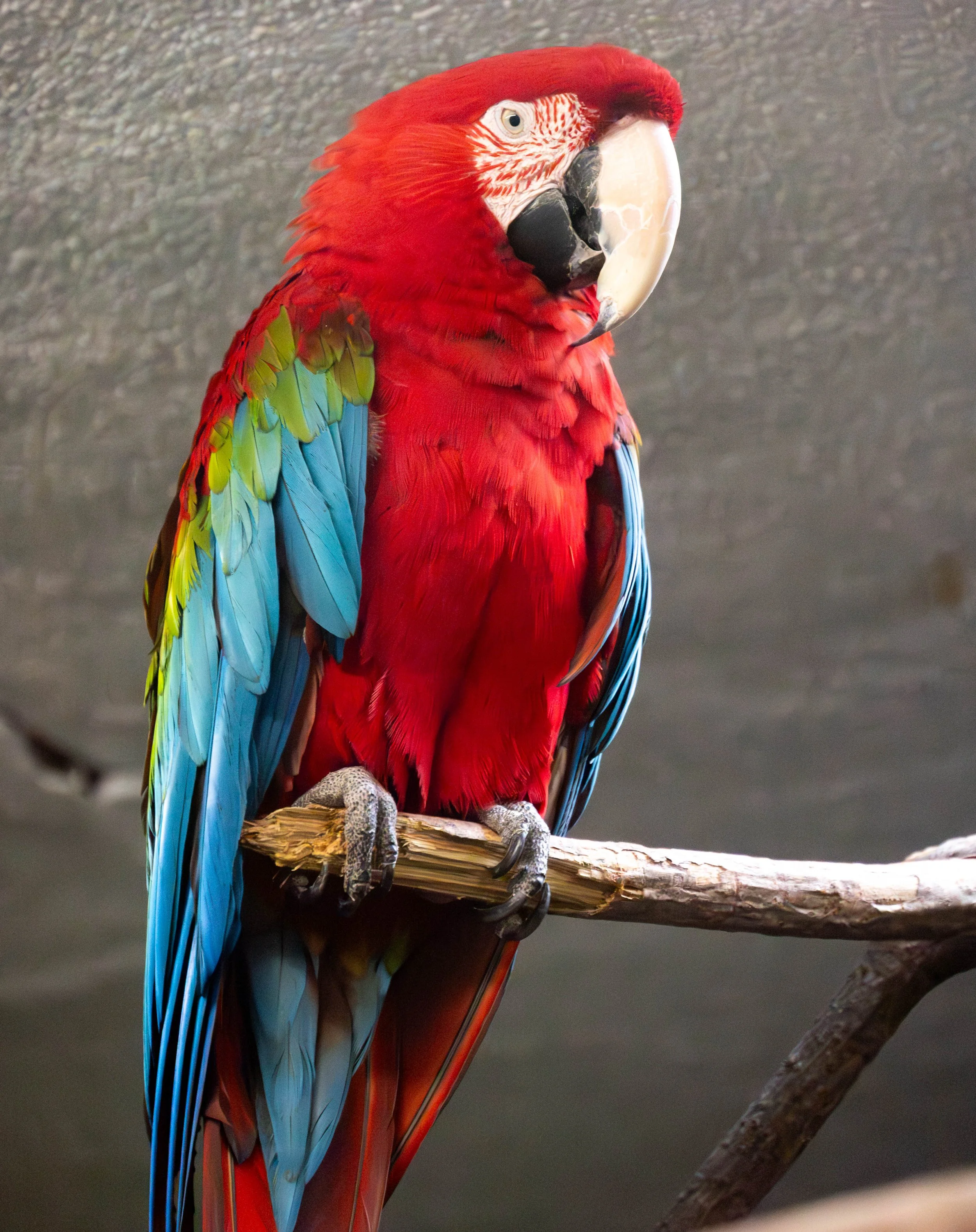 DSC_6287.jpg