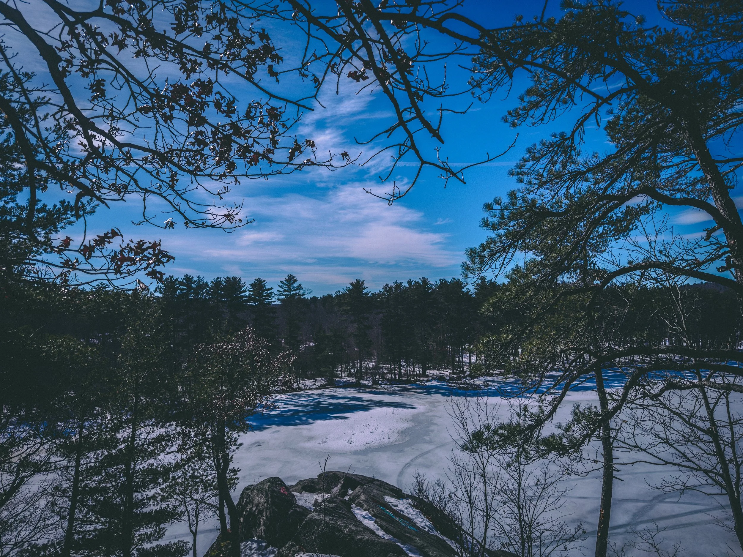 IMG_8830.jpg