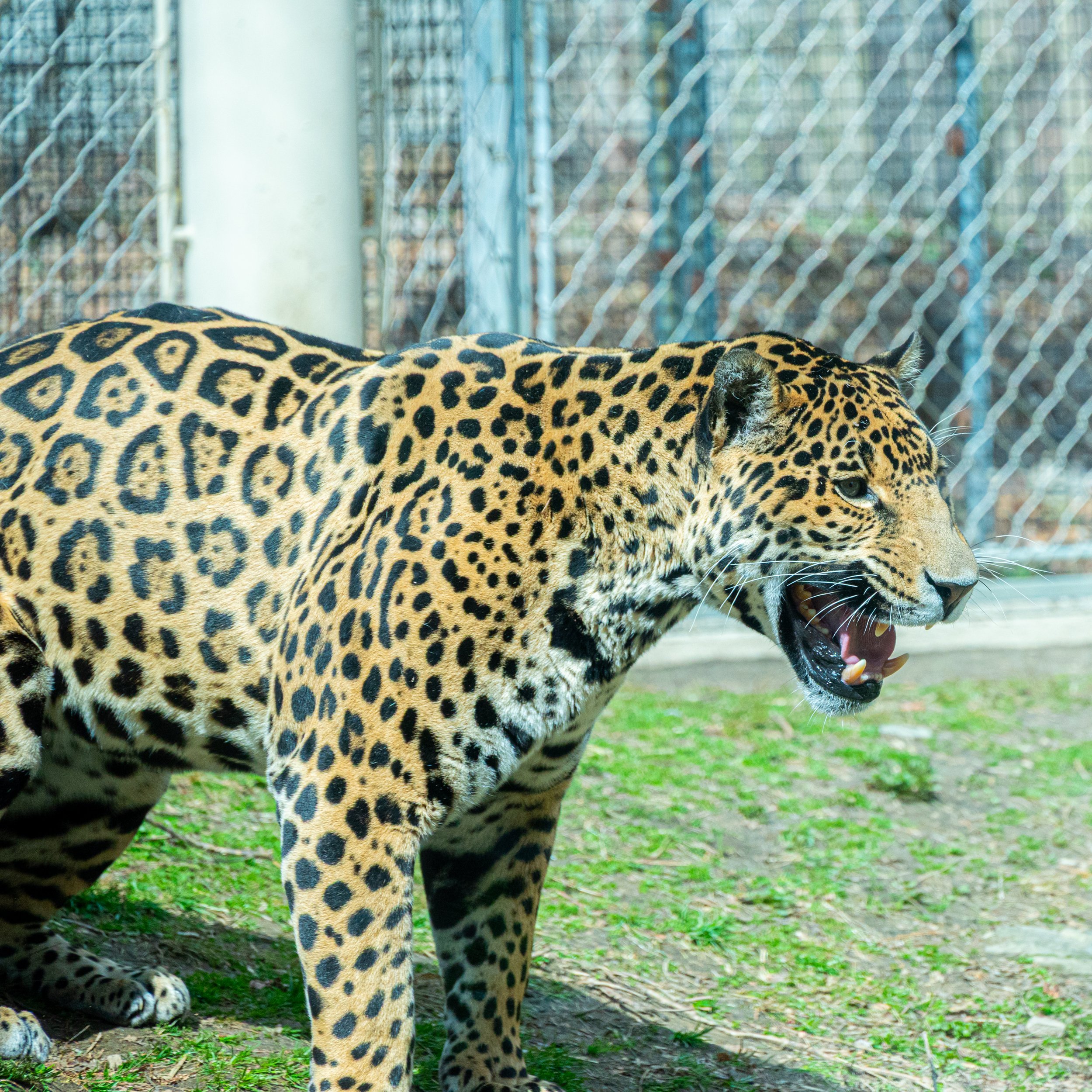 zoo 23.jpg