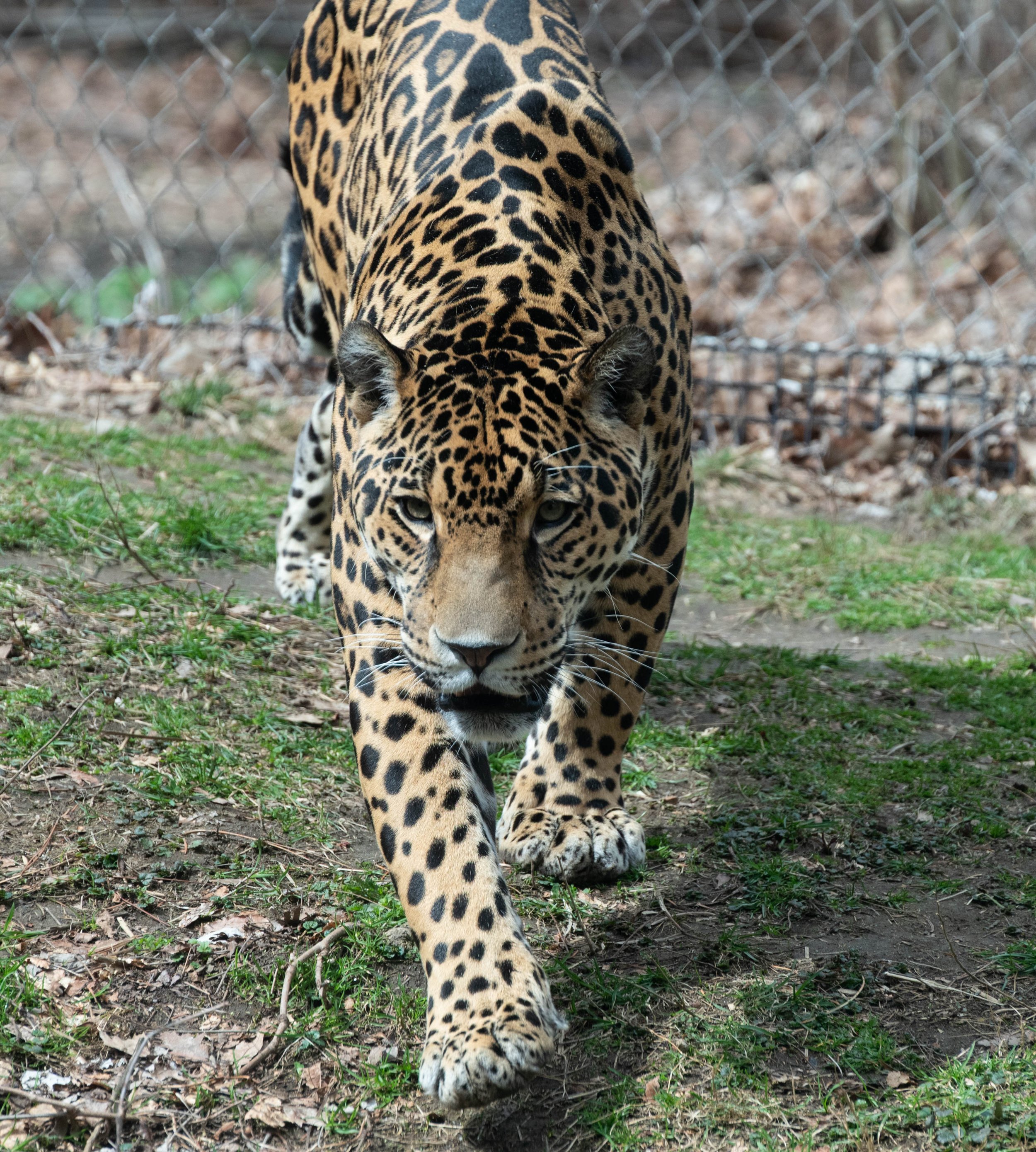 DSC_6514.jpg