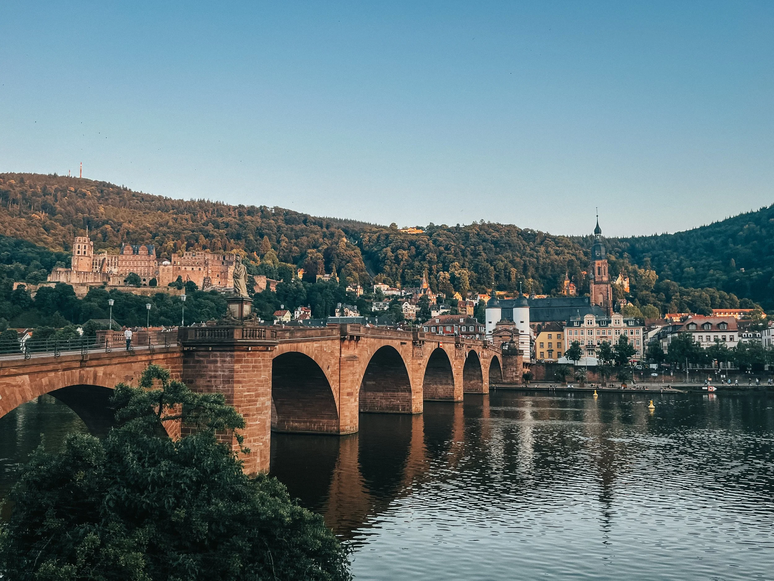 Lauren Zachas Travel