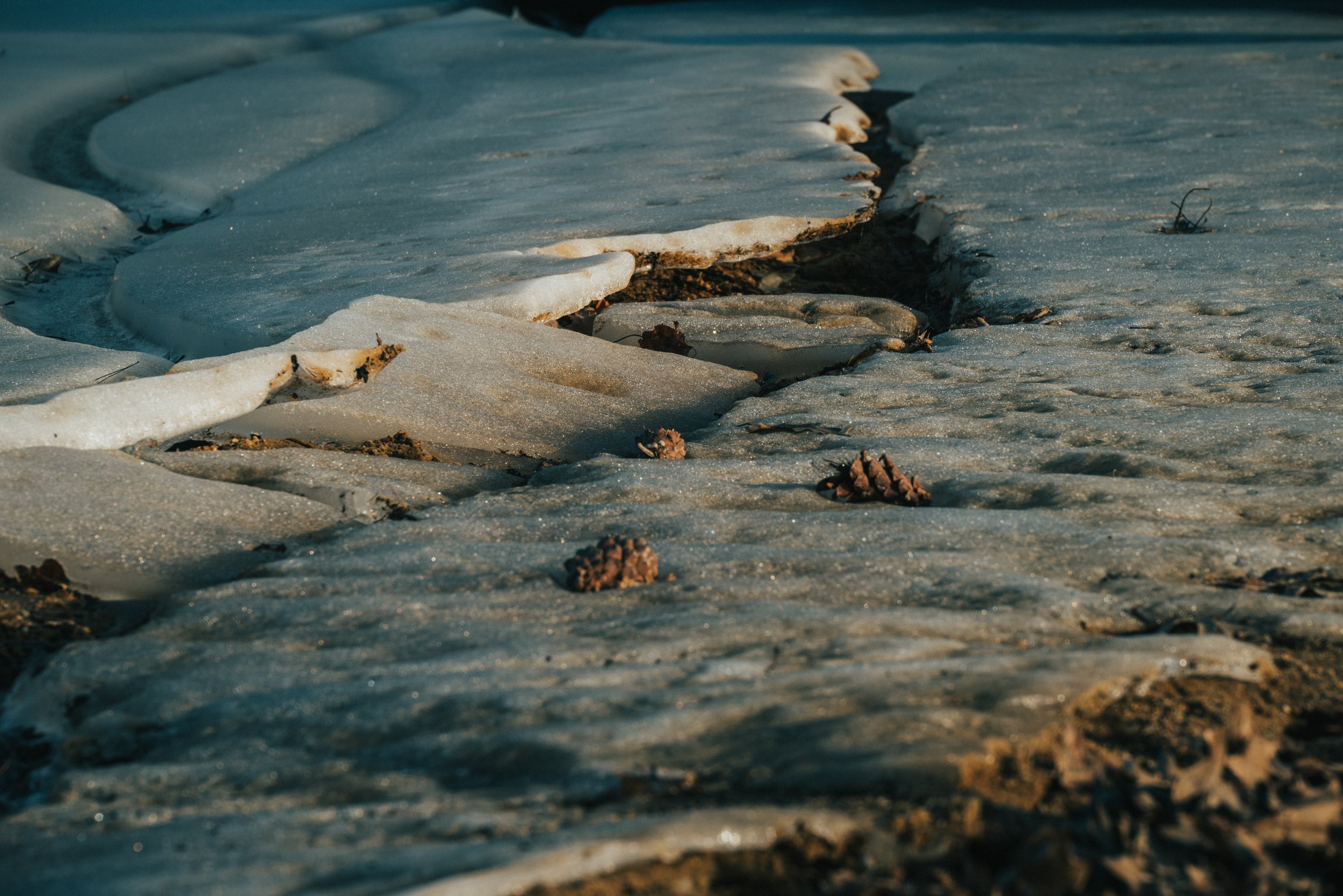 6_DSC_1746.jpg