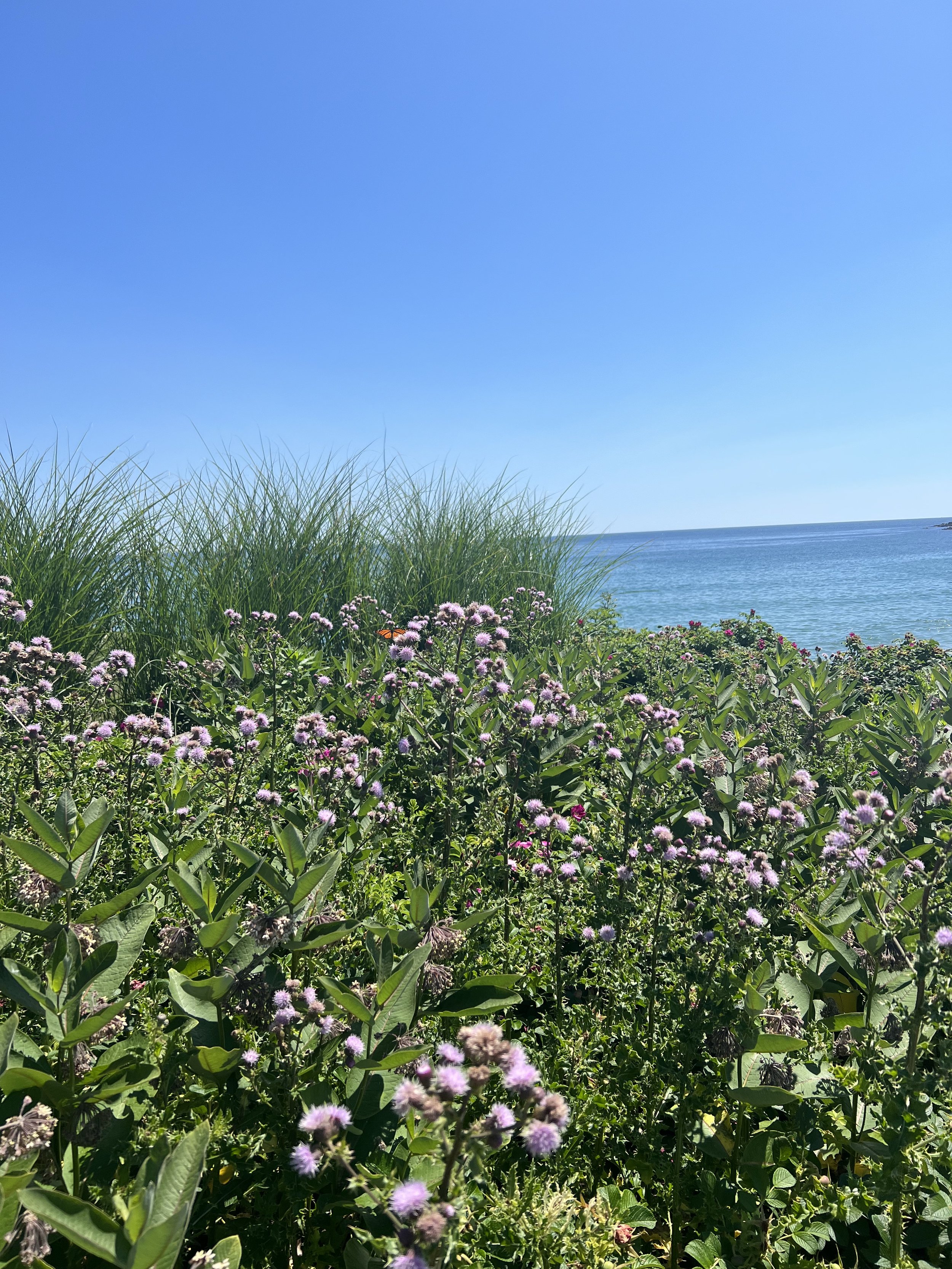 York Beach, MI.jpg